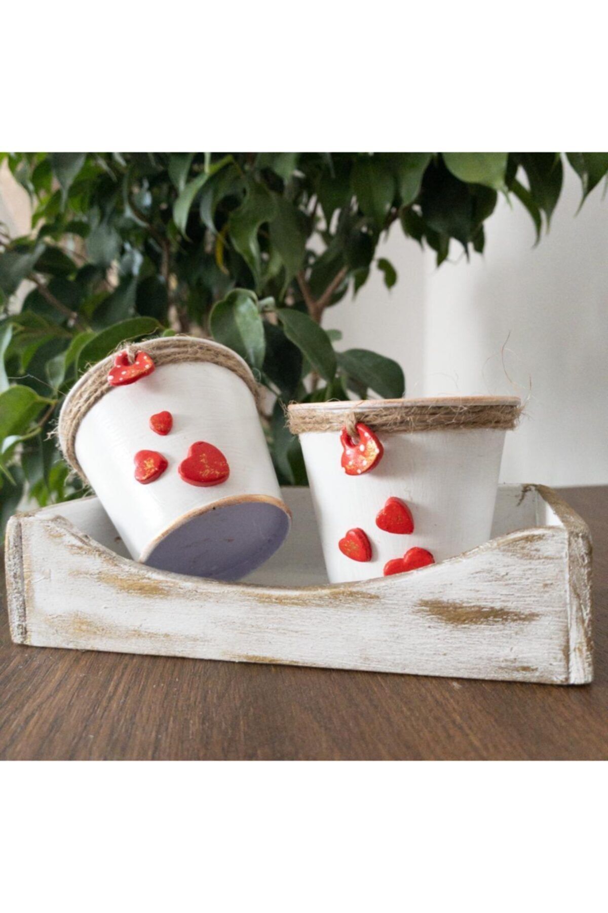 Tofy Artdesign Kasalı Sukulent Saksı Seti (KALP SÜSLEMELİ), El Yapımı Saksı, Sukulent Saksısı