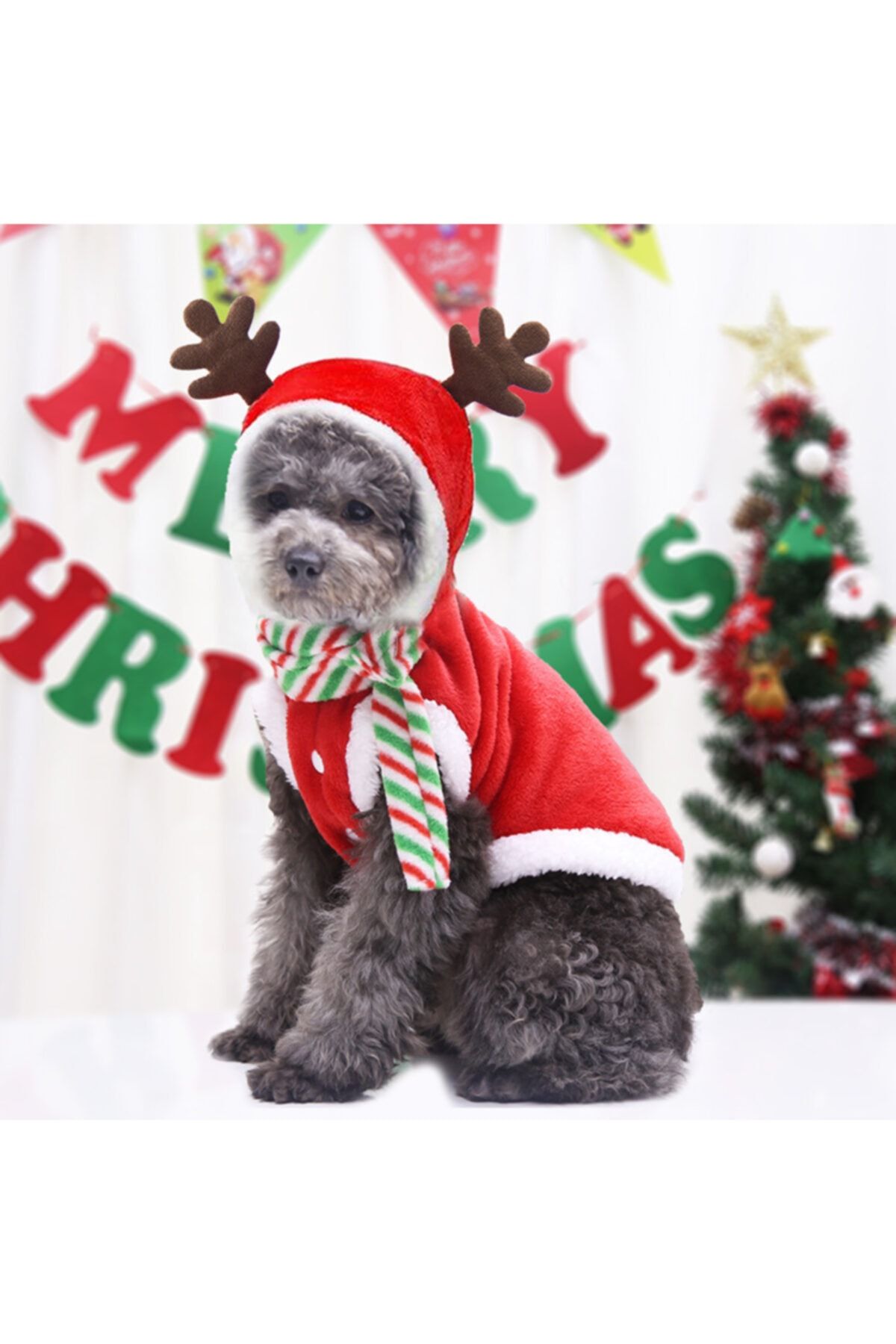 Sweet Tea Store Noel Köpek Kedi Pijama Evcil Hayvan Giysileri Kravatlı