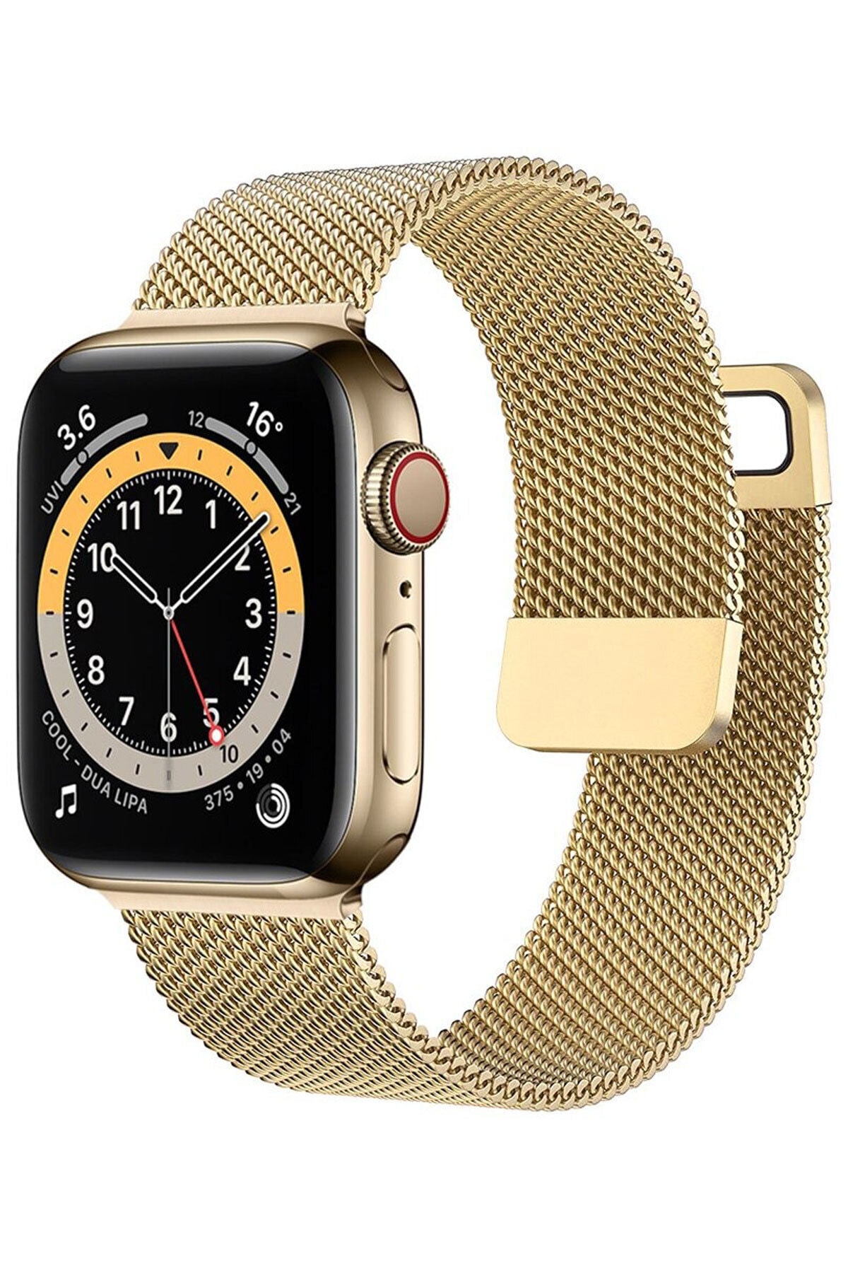 Favors W26+ Kordon Watch 6 Plus Akıllı Saat Uyumlu 42-44 Mm Hasır Metal Gold Kordon