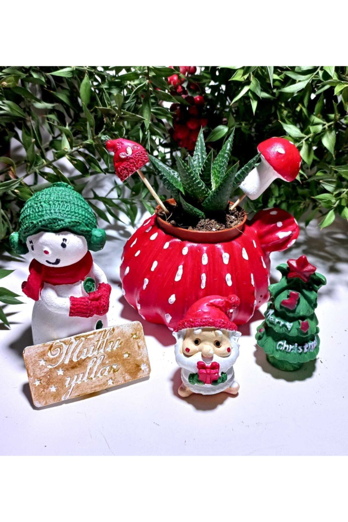 Nebula Yılbaşı Noel Hediye Setı Sukulent
