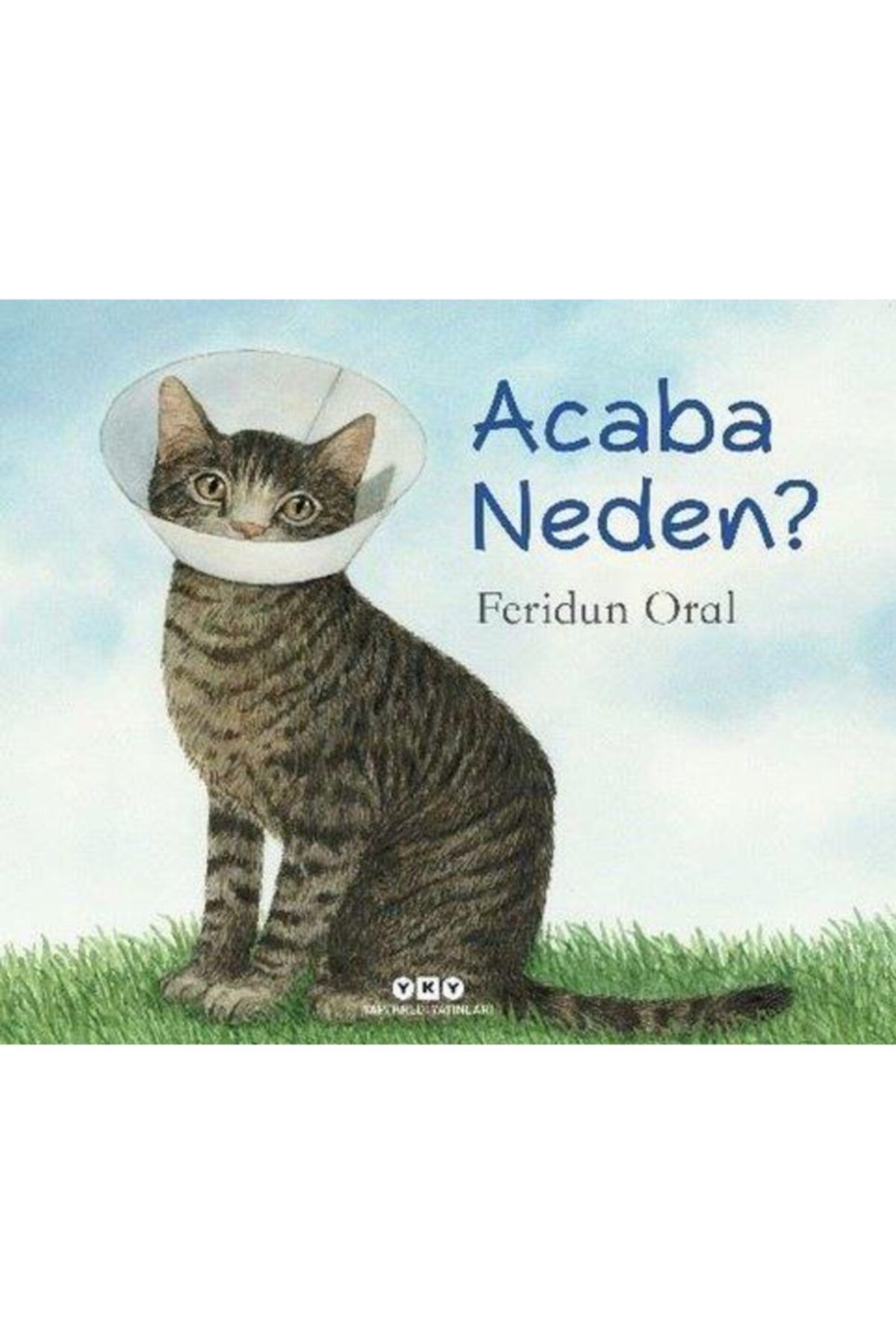 Yapı Kredi Yayınları Acaba Neden  Feridun Oral 9789750849459