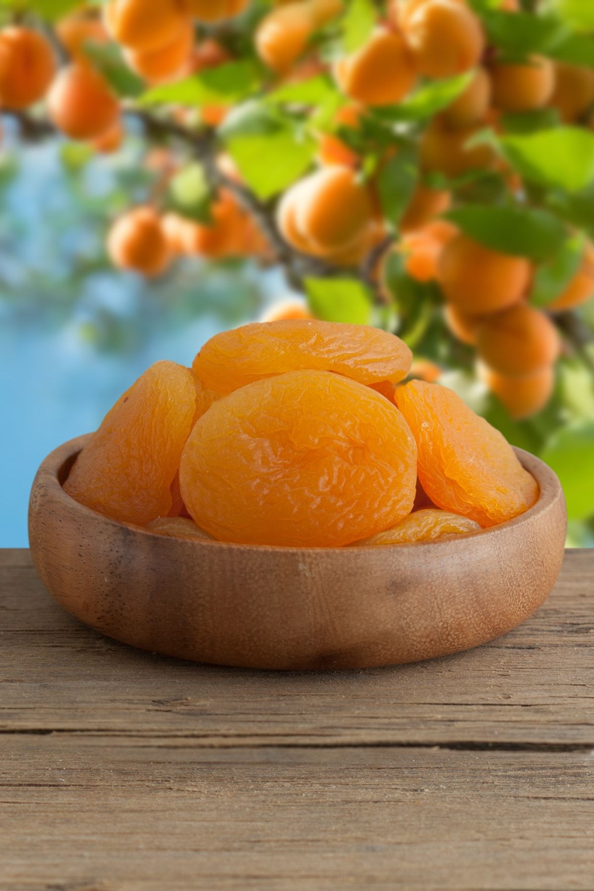 Hacı Mümtaz 1958 Kuru Kayısı Sarı 1000g