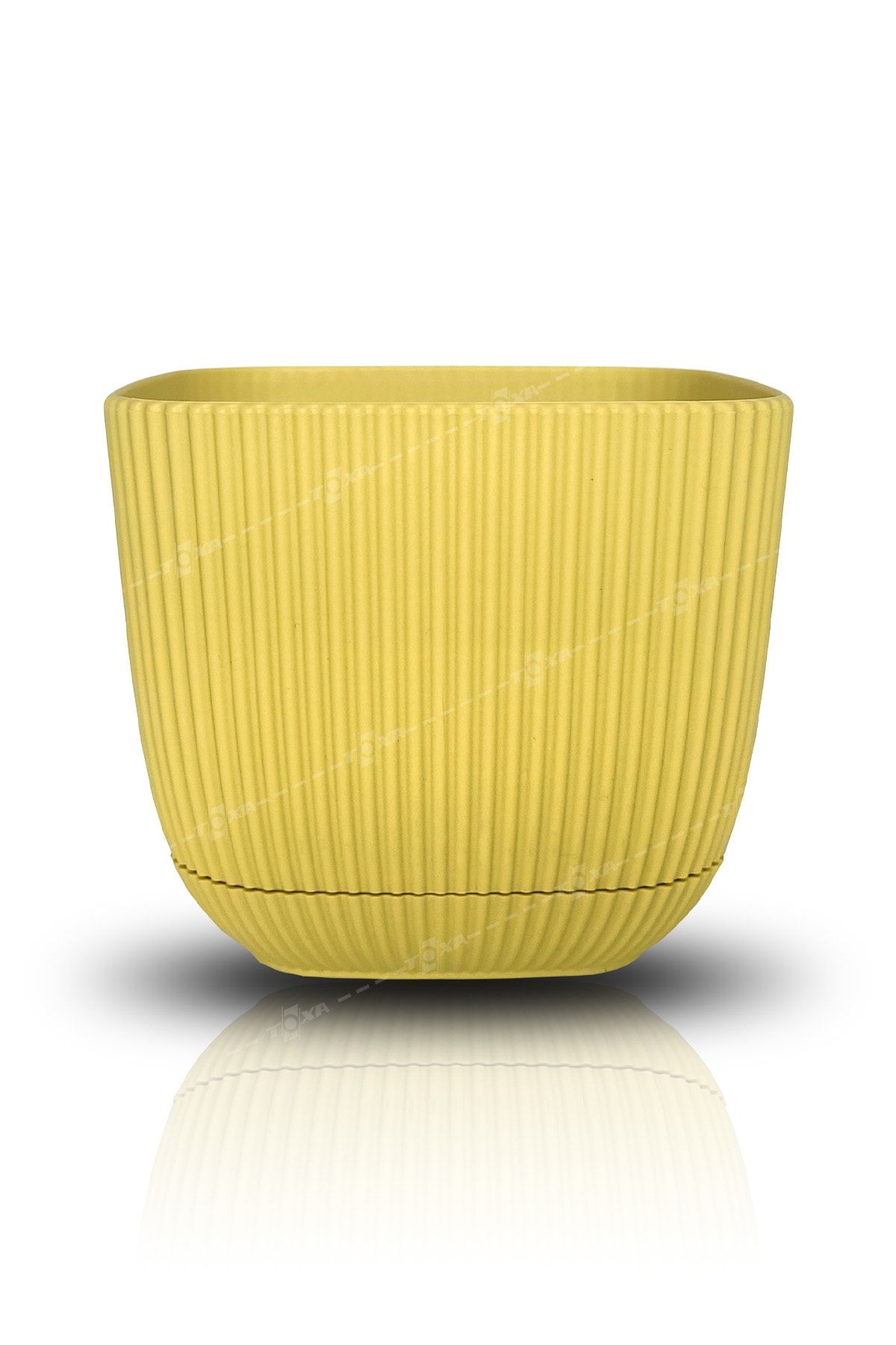 ToXA 0.67 Litre Sarı Mini Boy Plastik Kaktüs Sukulent Saksısı Kare Mercan Saksı No2 11x11x9,5cm