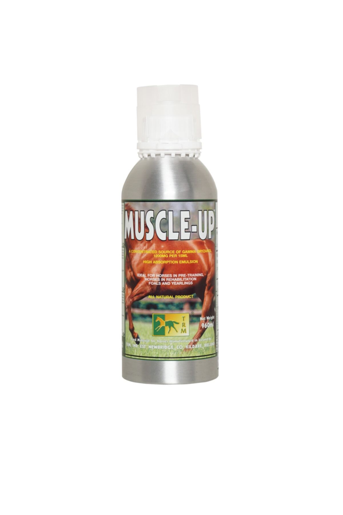 TAYFUNTAY Trm Muscle – Up
