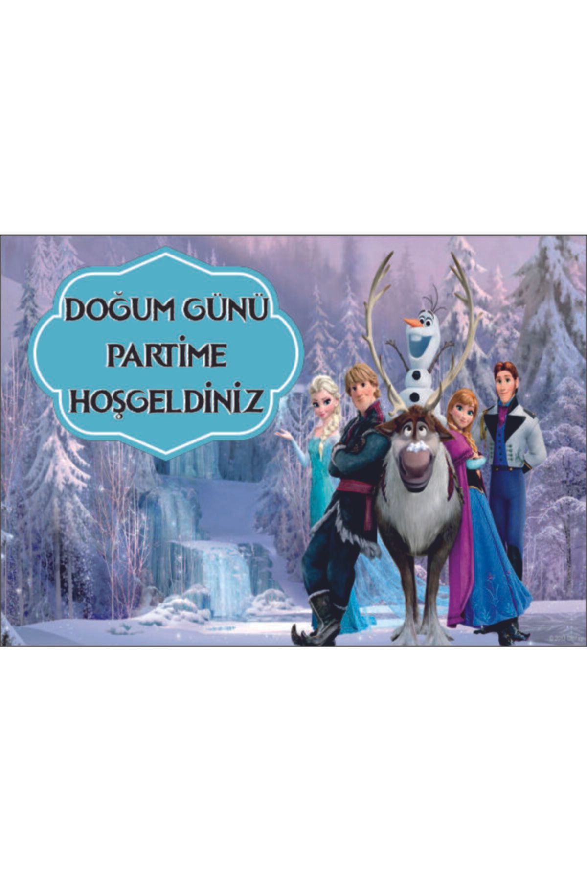 HAS REKLAM Elsa Frozen Doğum Günü Afişi 100*70 Cm Doğum Günü Yazısı