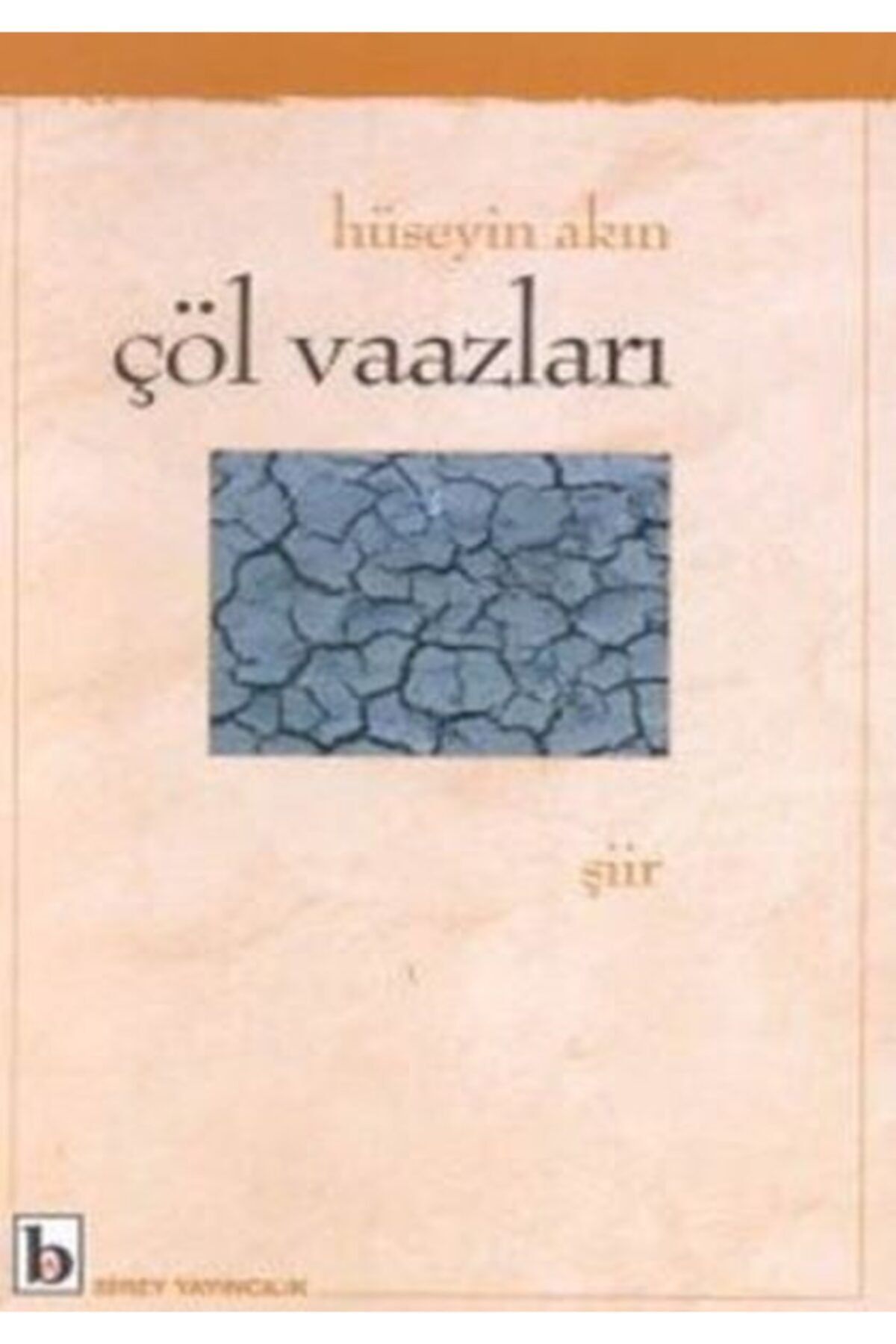 Birey Yayıncılık Çöl Vaazları