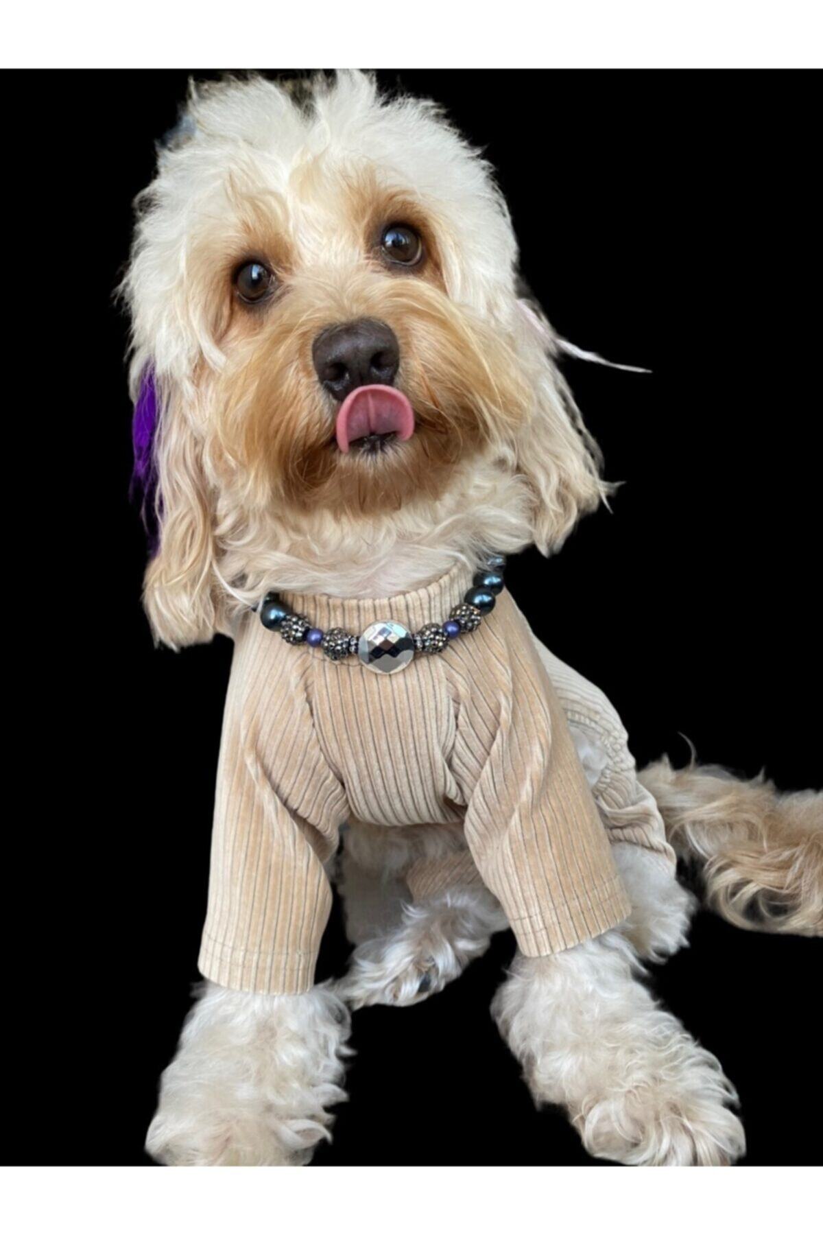 PAW LOVE I(gray) Gri Parlak Taşlı Ve Gri Incili Şık Köpek Kolyesi 25-35 Cm Ayarlamalı Zincir