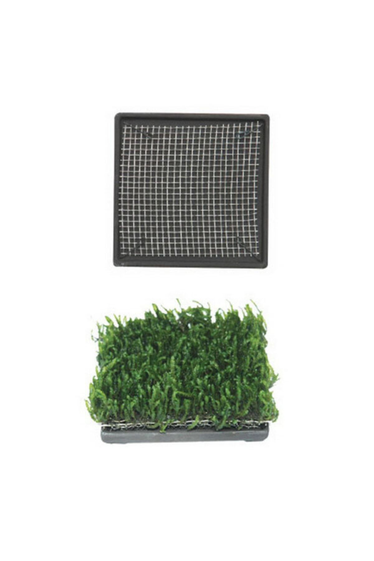 thepassioniz Ista Bitki Taban Seramik 6,5 Cm Kare