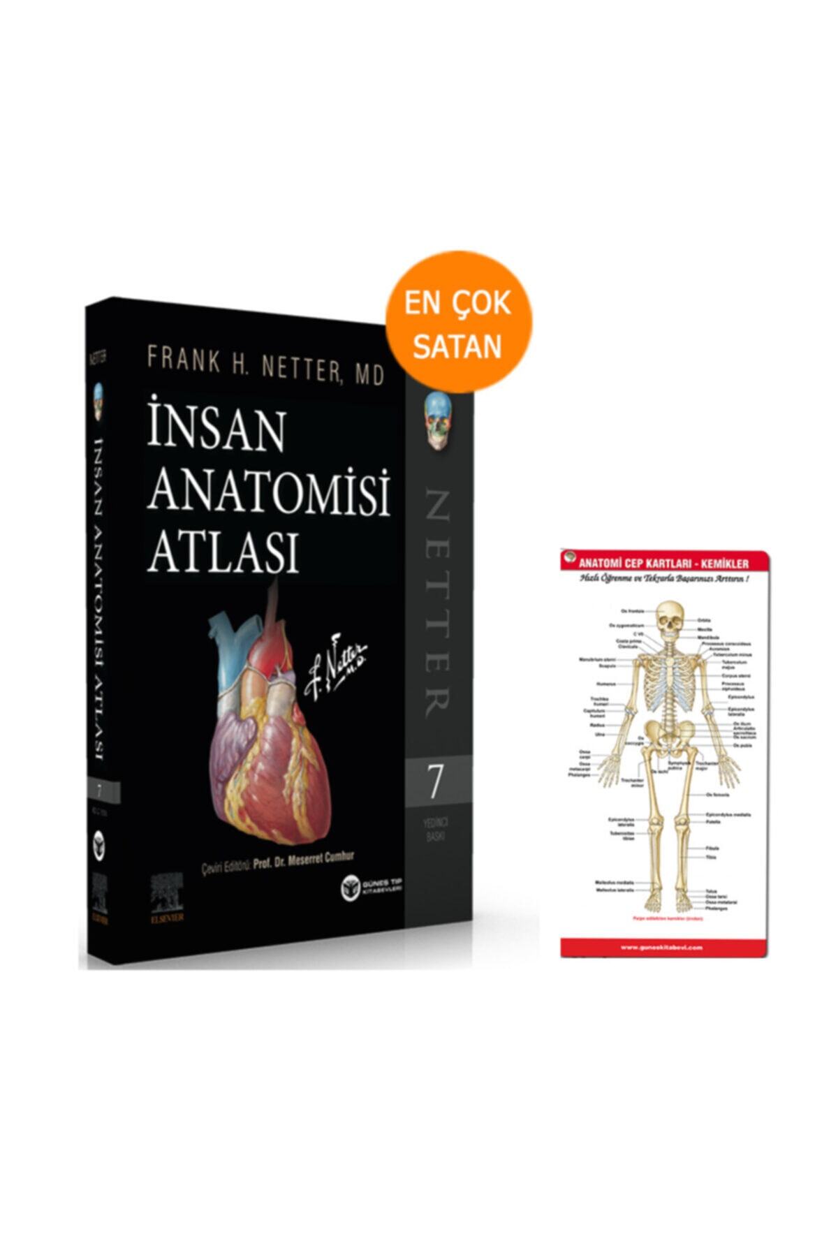 Güneş Tıp Kitabevi Netter Insan Anatomisi Atlası 7. Baskı
