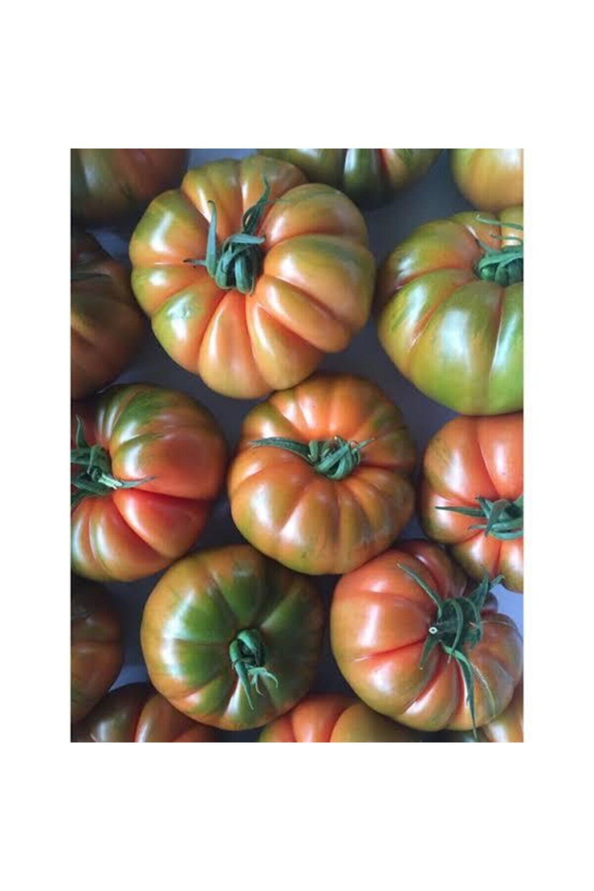 Temizsebzemeyve Köy Domatesi 1kg ( Lapçin)