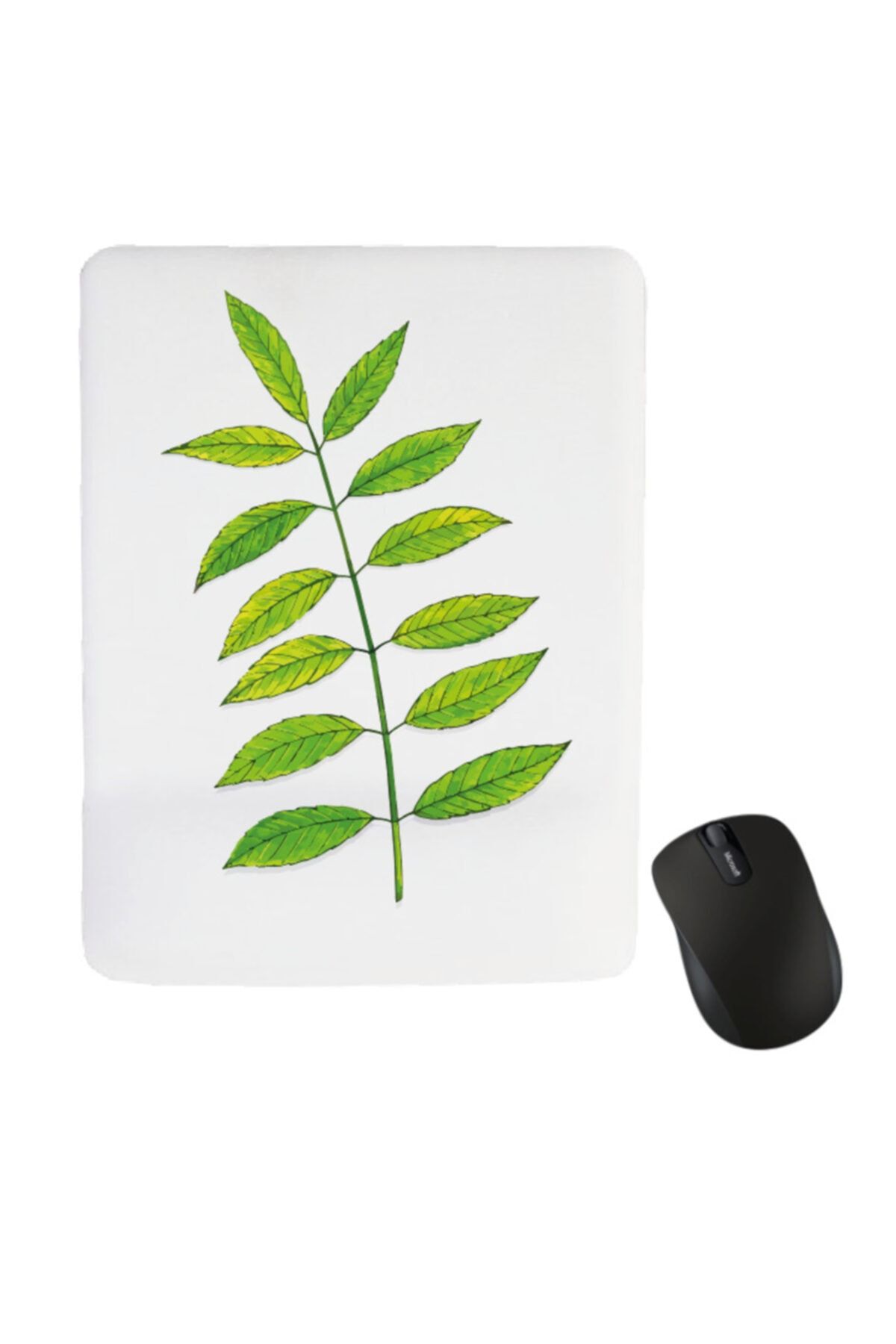 Aslanhan Baskı Mouse Pad Dikdörtgen Bilek Destekli Minimal Bitki Detaylı