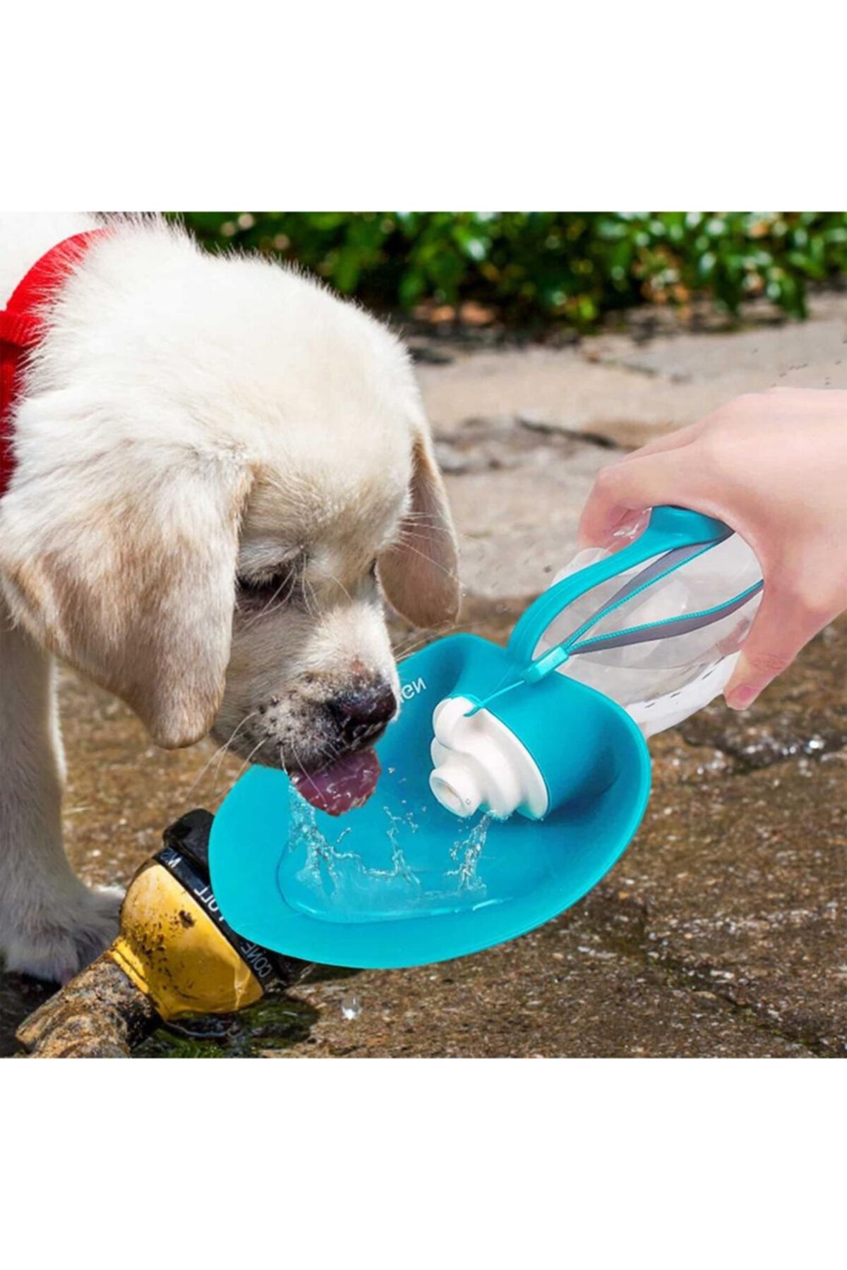 TamamElek Taşınabilir Kedi Köpek Su Şişesi Yumuşak Silikon Açık Pet Su Sebili 580ml Mavi Renklı