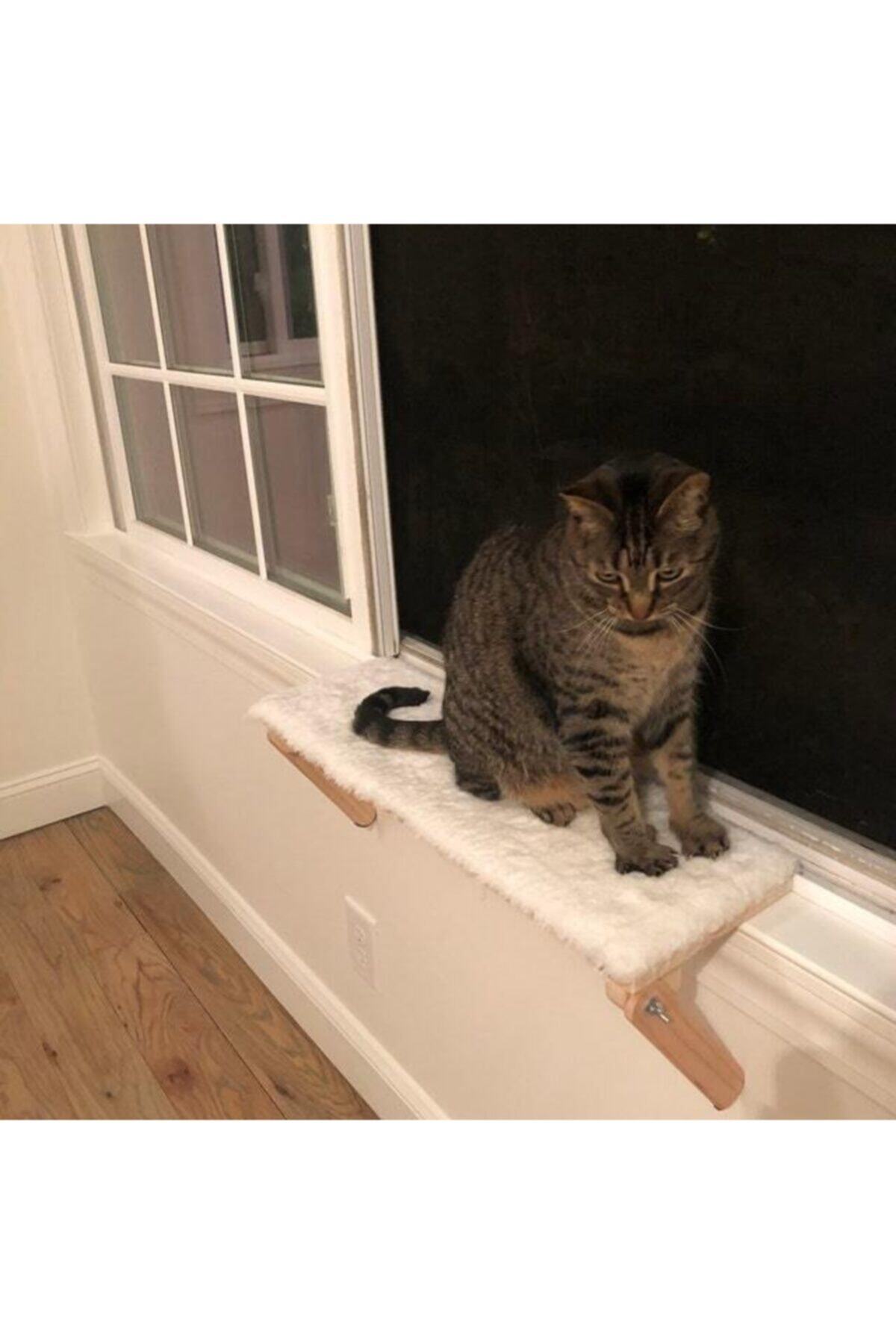 dekomar Kedi Pencere Rafı