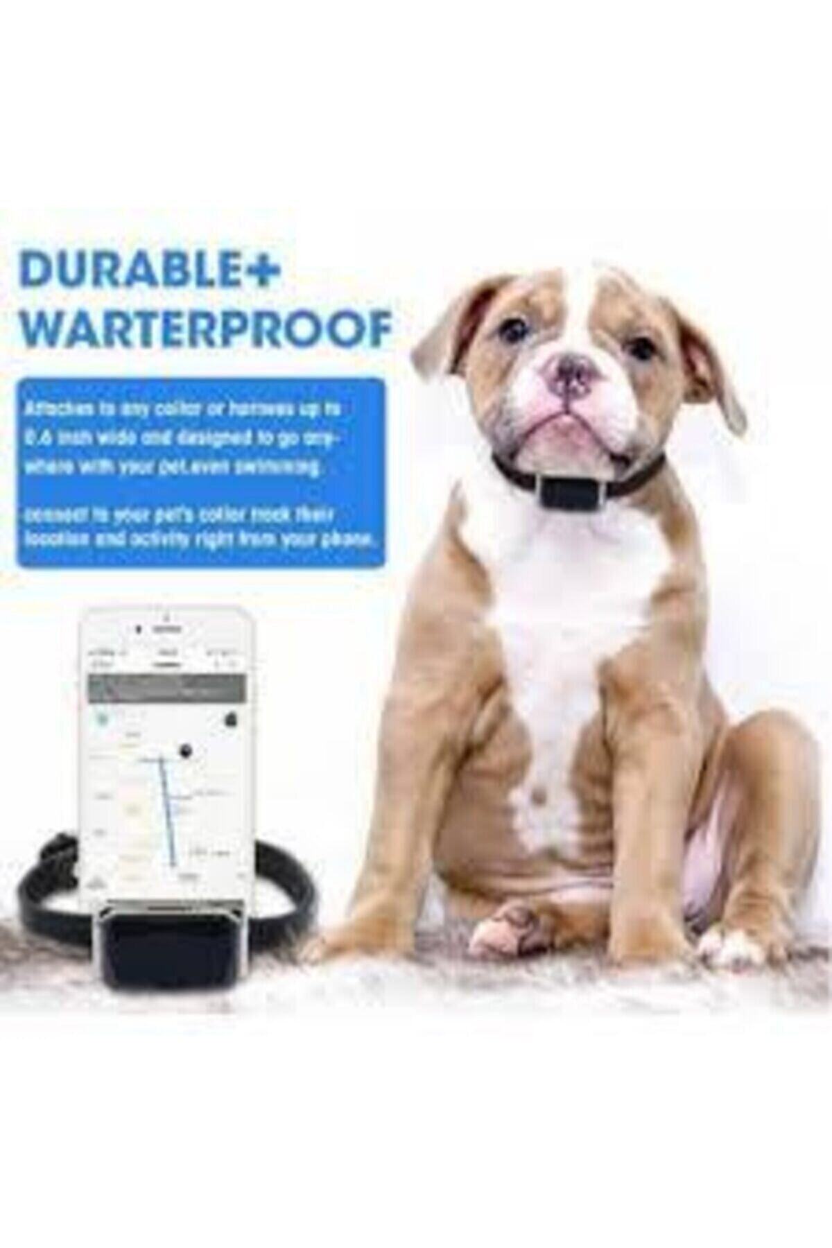 Kospet Gps Evcil Hayvan Kedi Köpek Izleme Ve Takip Sistemi Sim Kartlı Ip67 Suya Dayanıklı