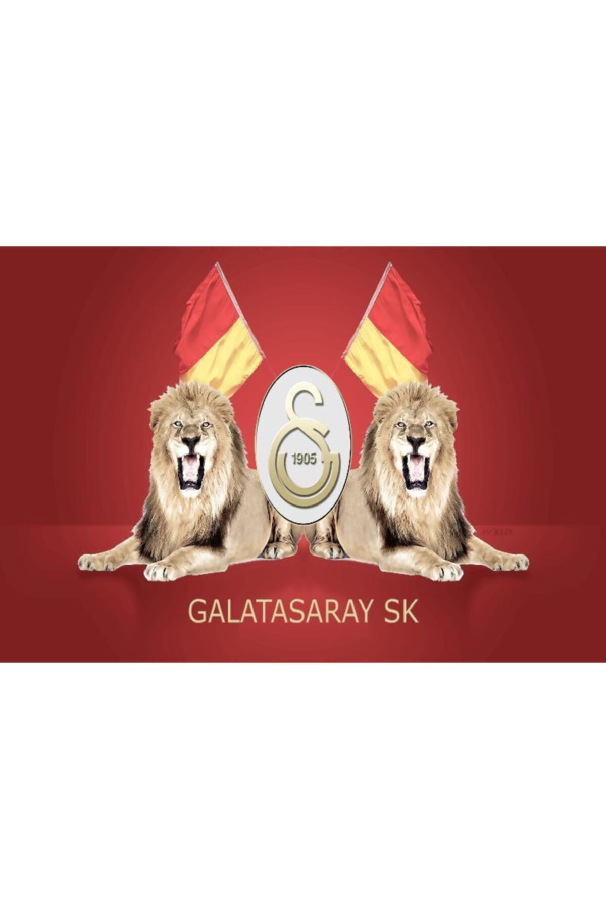Rölyef Sanat Evi Kâğıt Rölyef Poster - Galatasaray Taraftar Resimleri - 35x50 ( 8 Adet )