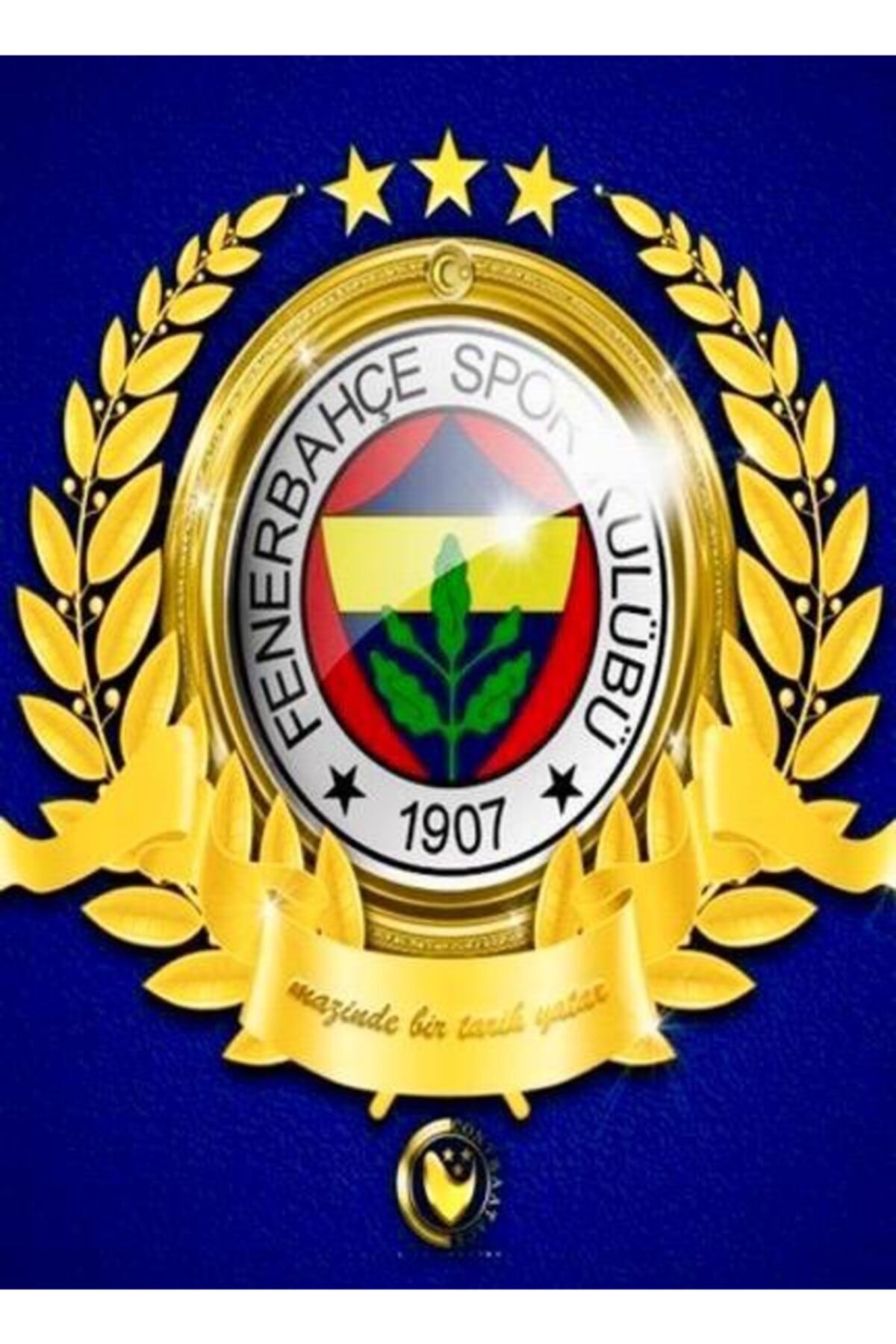 Rölyef Sanat Evi Kâğıt Rölyef Poster - Fenerbahçe Taraftar Resimleri - 35x50 ( 8 Adet )