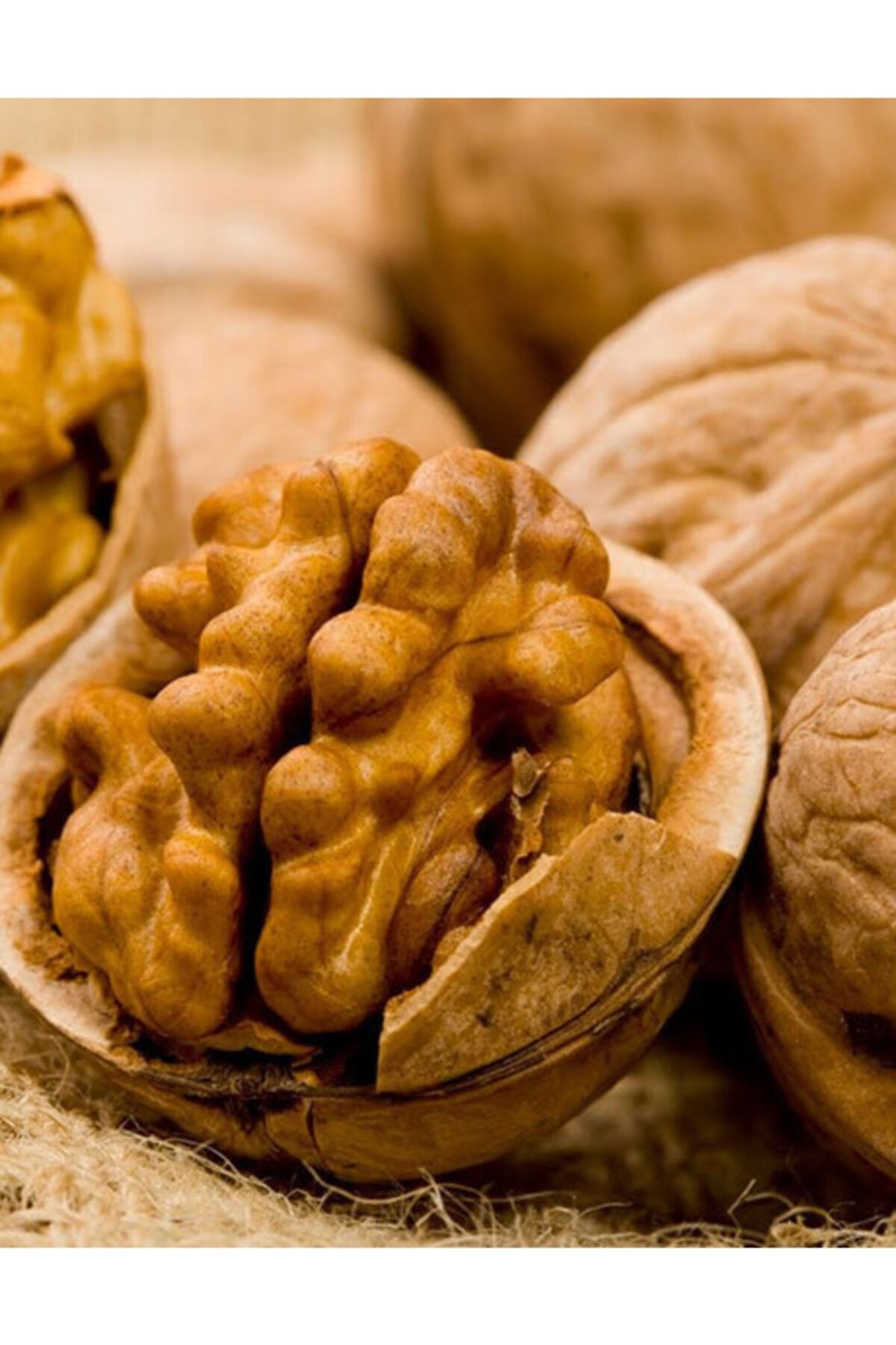 ÜNLÜ ŞİFA Yerli Kabuklu Ceviz 1 Kg Ince Kabuk