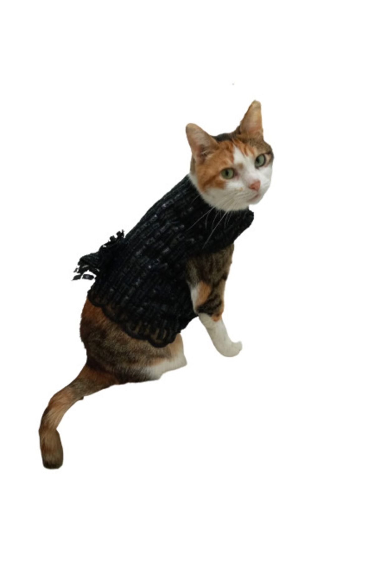 FNG FASHION Fiyonklu Süslü Kedi Kıyafeti Kedi Elbisesi