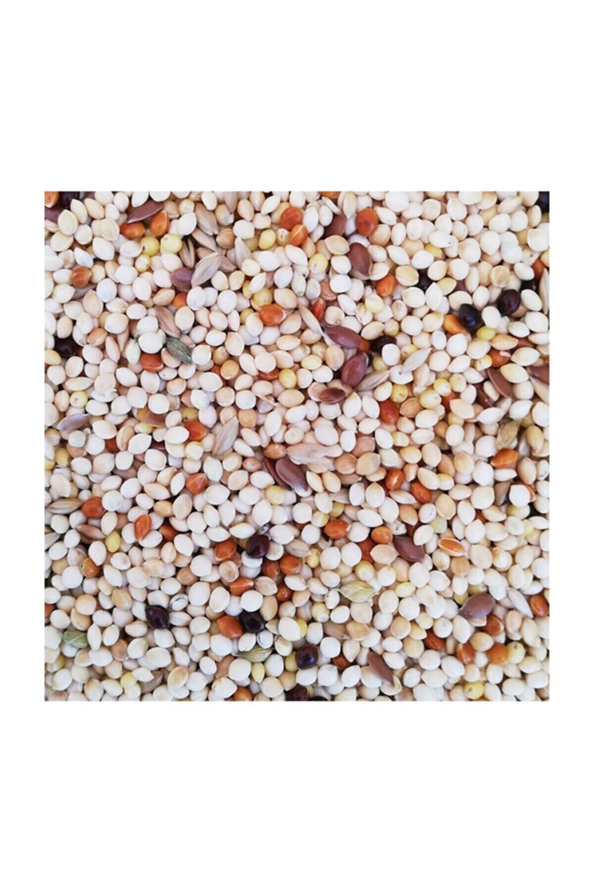 RAÇAM BOTANİK Özel Tohumlu Muhabbet Kuşu Yemi 10 Kg