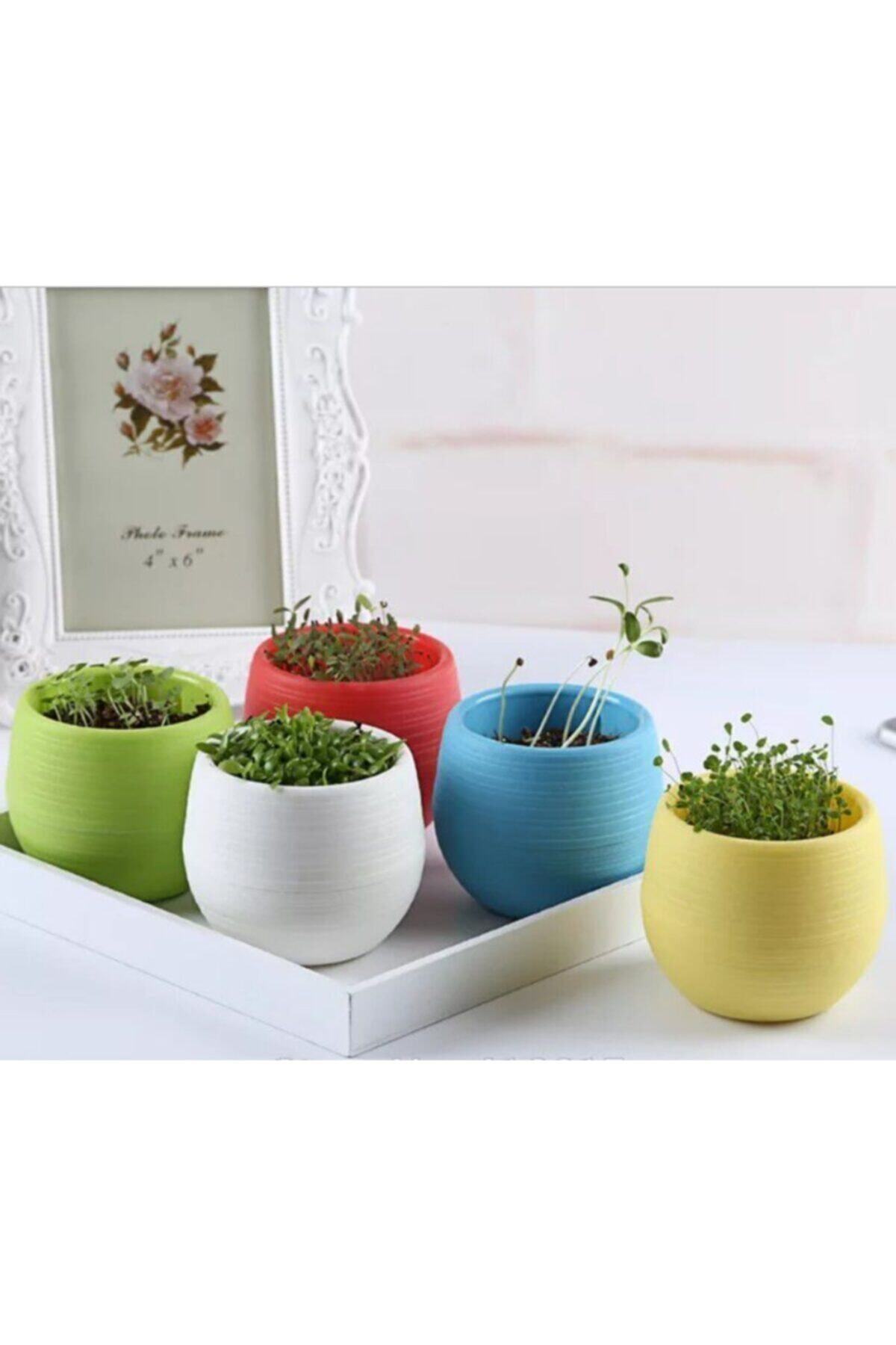 BBA HOME 6 Adet Mini Şeker Saksı Kaktüs Saksısı Elvan Saksı Minik Saksılar Küçük Renkli Saksı 0,13 Lt.