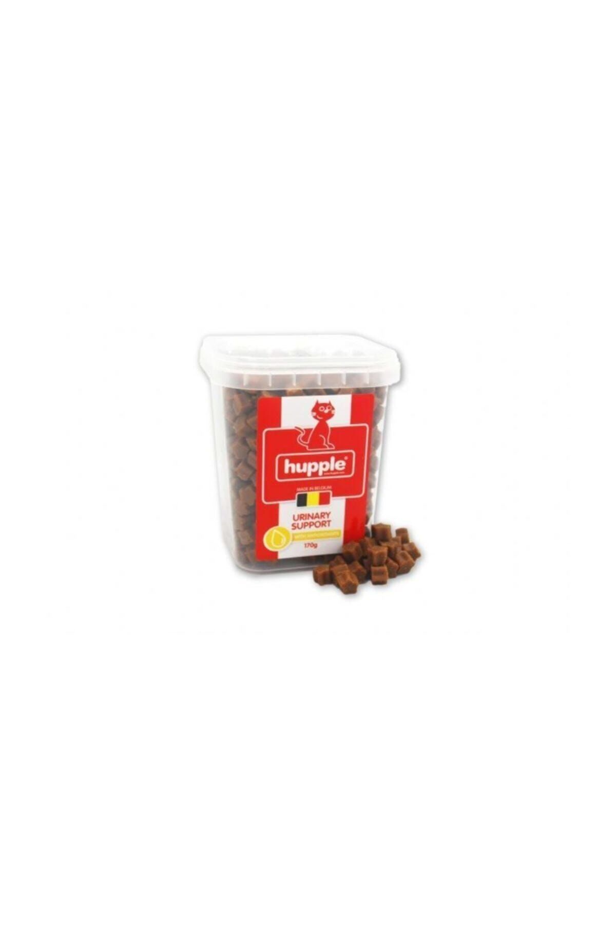 Pooch & Mutt Pooch Mutt Hupple Cat Urınary Support 170 gr