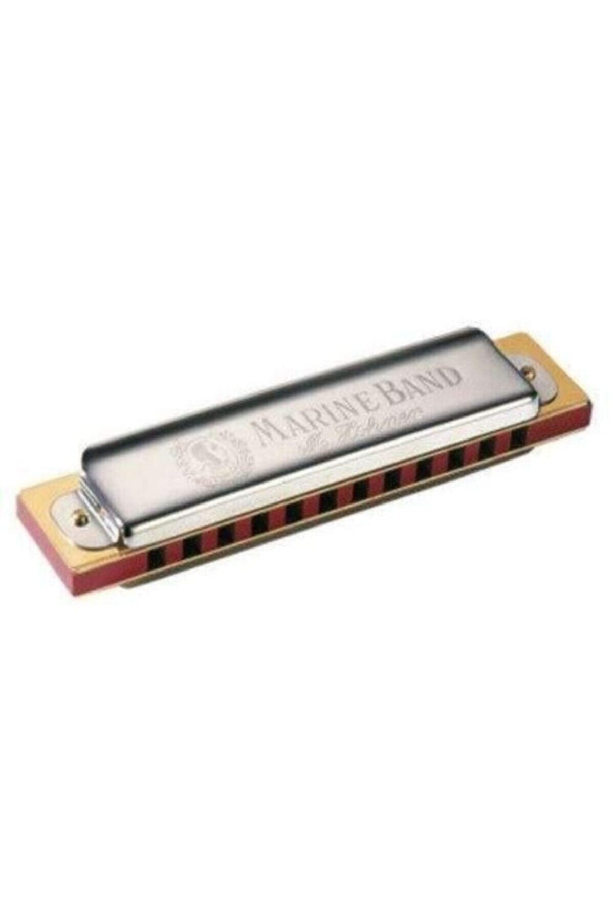 Hohner M364017 364/24 Mızıka