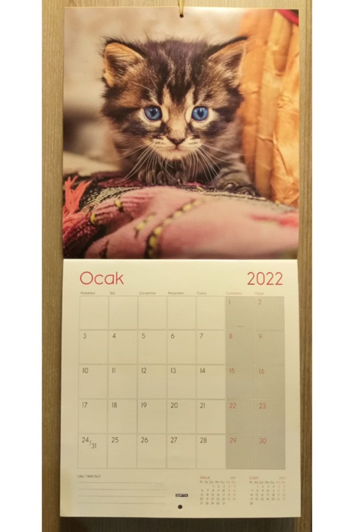 Gıpta 2022 Tel Dikişli 29x31 Kuşe Duvar Takvimi Giller Ayarında Kediler
