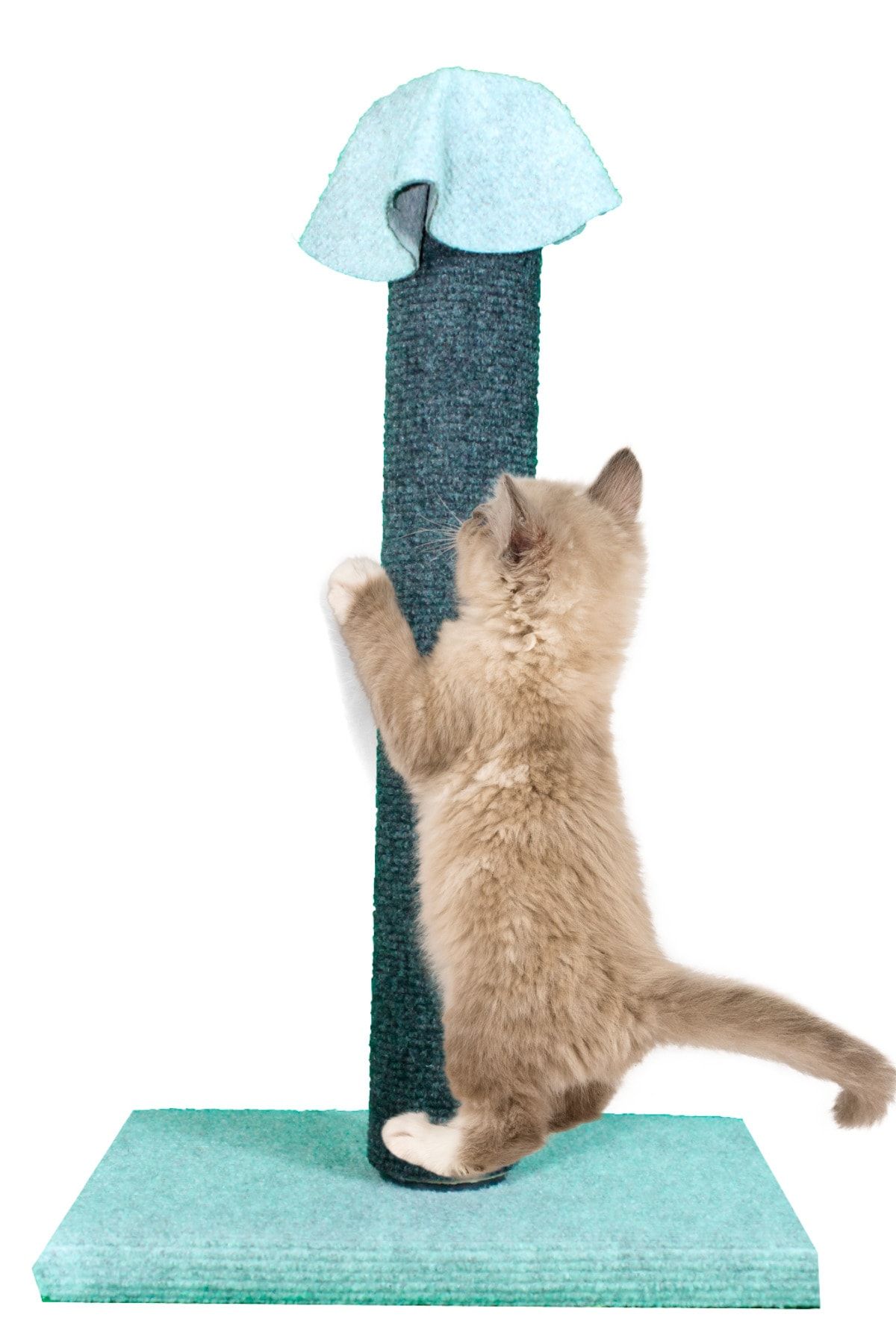 BYPET Özel Dokuma Halı Kaplamalı Kedi Tırmalama Tahtası