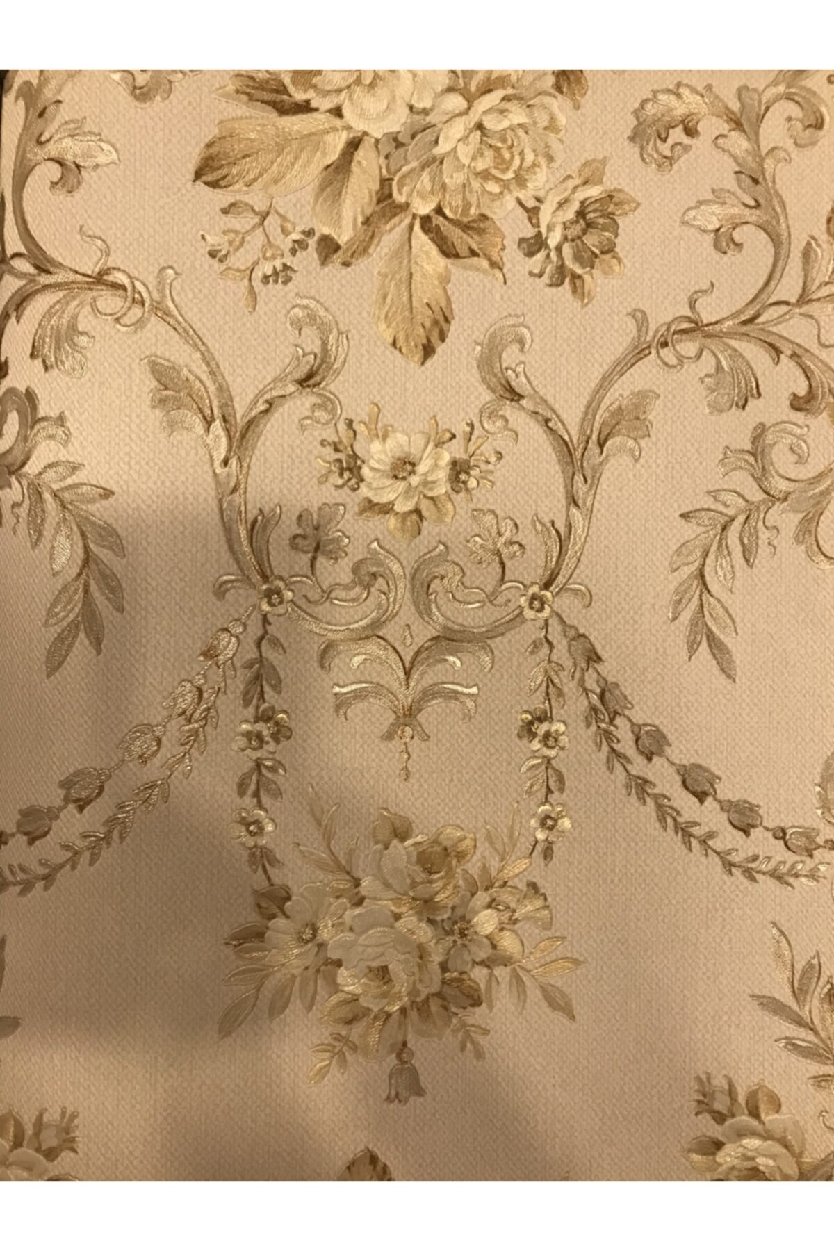 Roberto Cavalli Cavalli