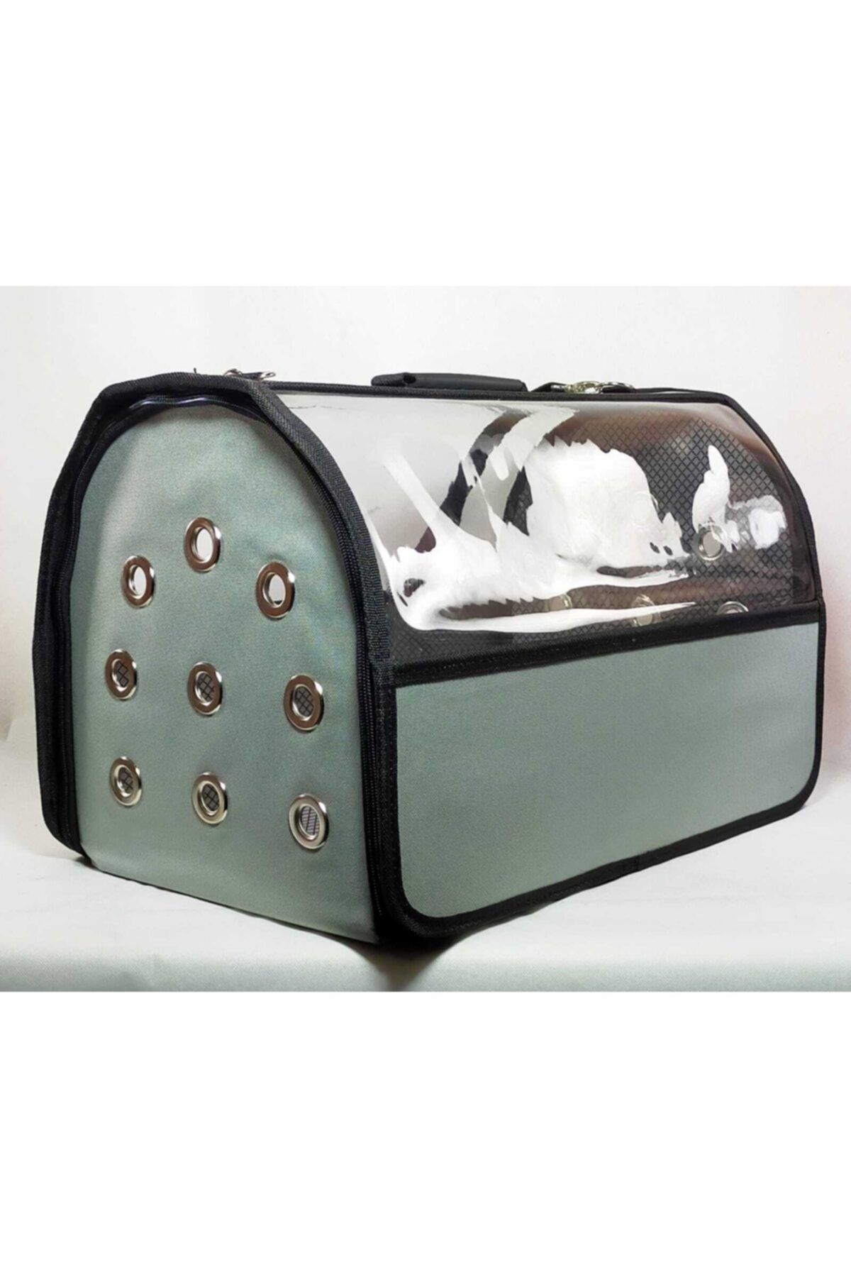 Dünyanın Çantası Açık Yeşil Flybag Şeffaf Kedi Köpek Taşıma Çantası