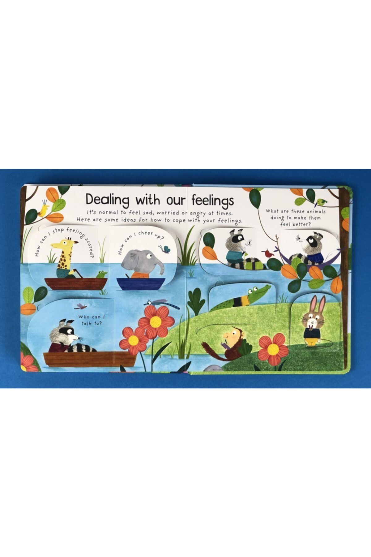 Usborne What Are Feelings Lift-The-Flap-Katie Daynes