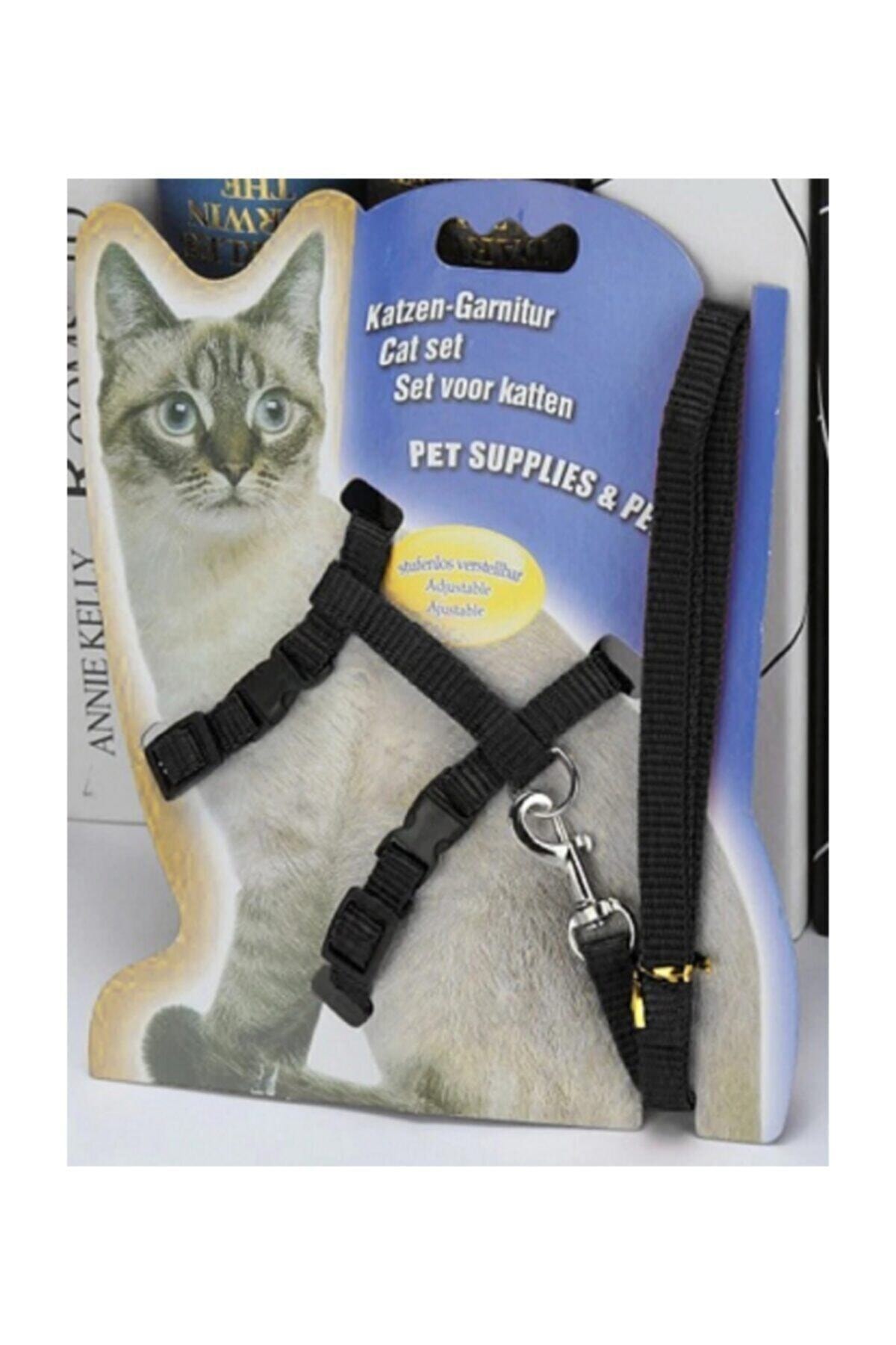 aşçıbaşı ticaret Kedi Göğüs Tasması Ve Gezdirme Seti