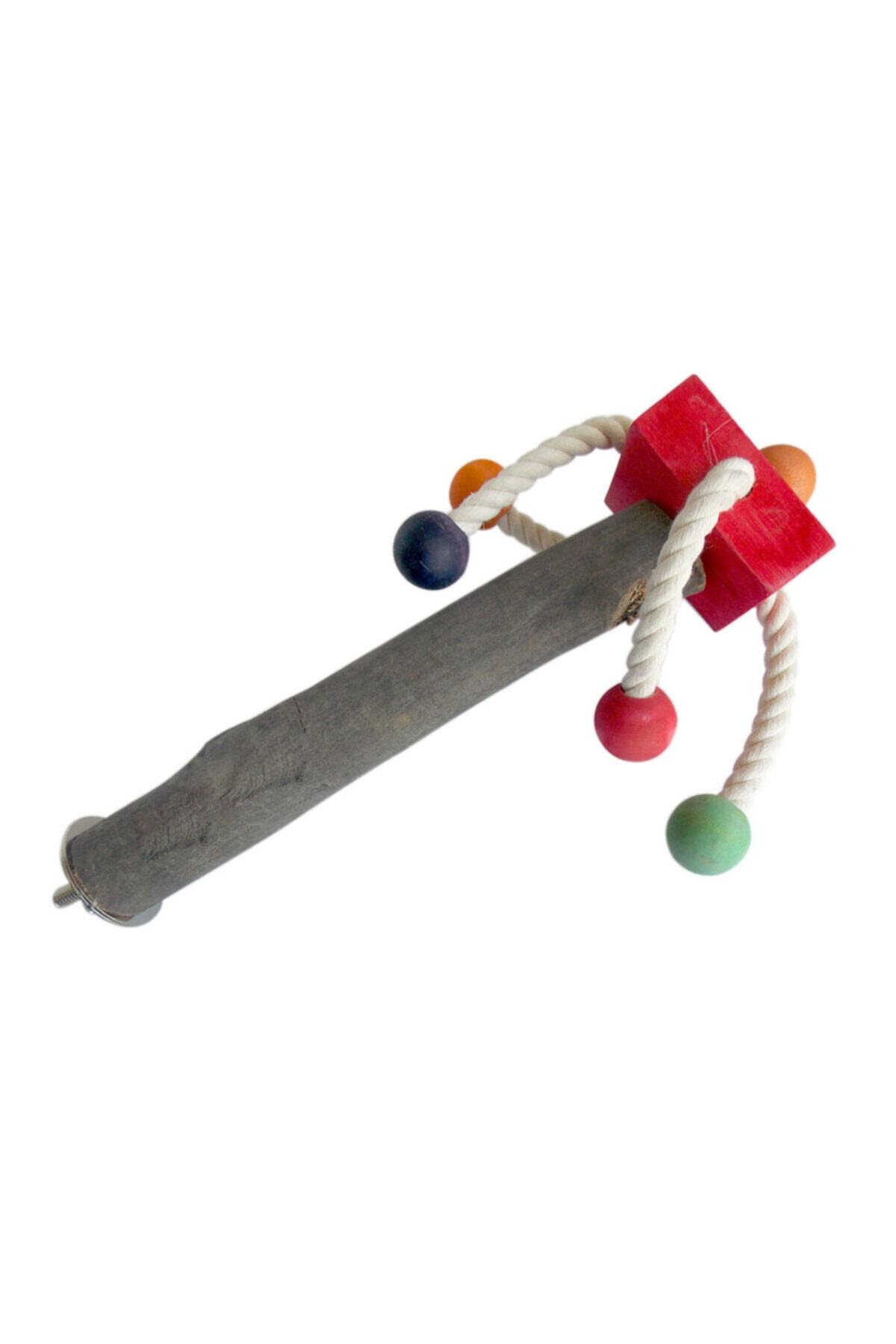 thepassioniz Eastland Papağan Tüneği Orta