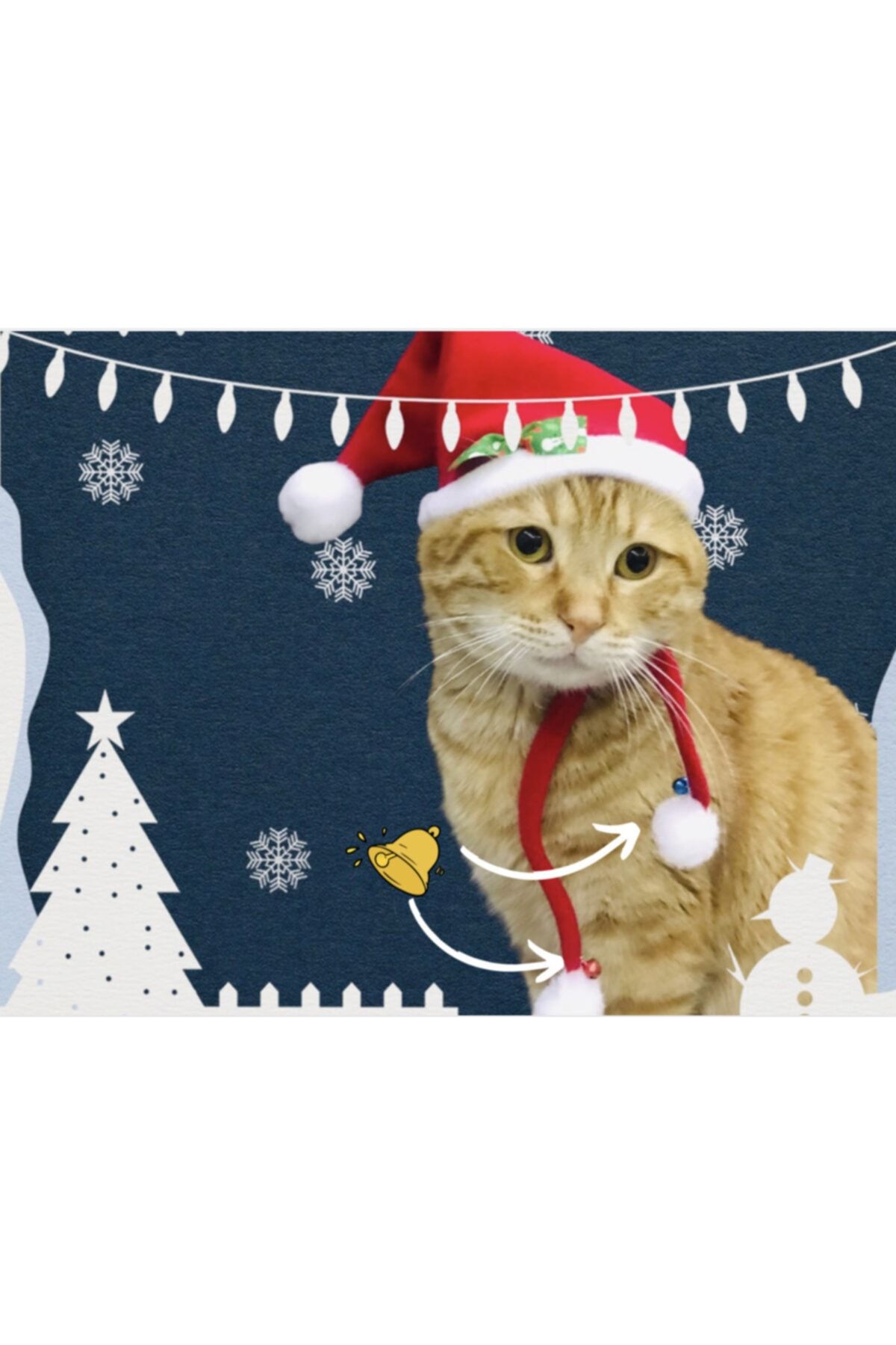 KELEBEK KOSTÜM Noel Şapkası Kedi, Köpek Için