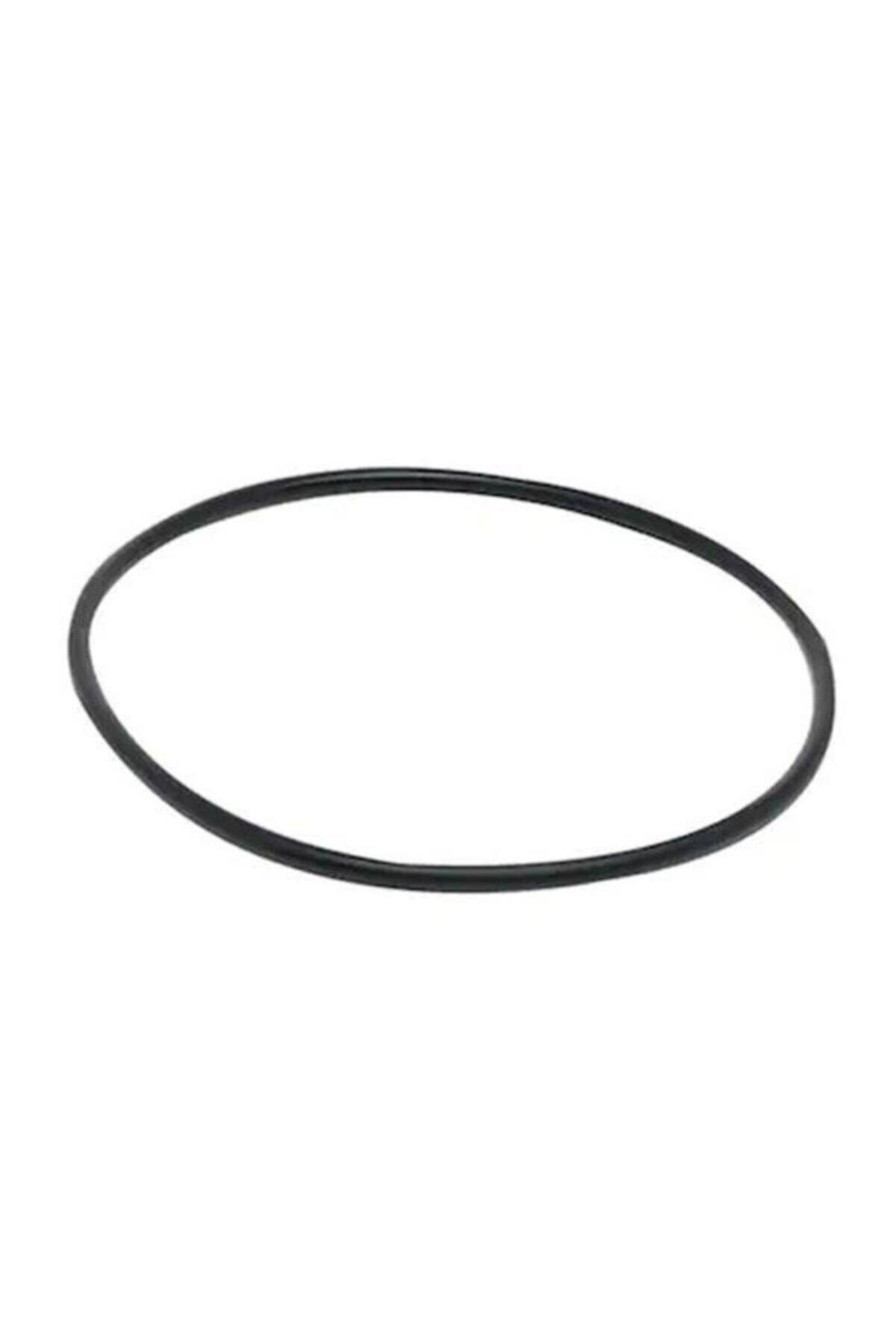 SunSun Hw-302 Hw-402 Dış Filtre Kafa Contası ( Yedek Parça )