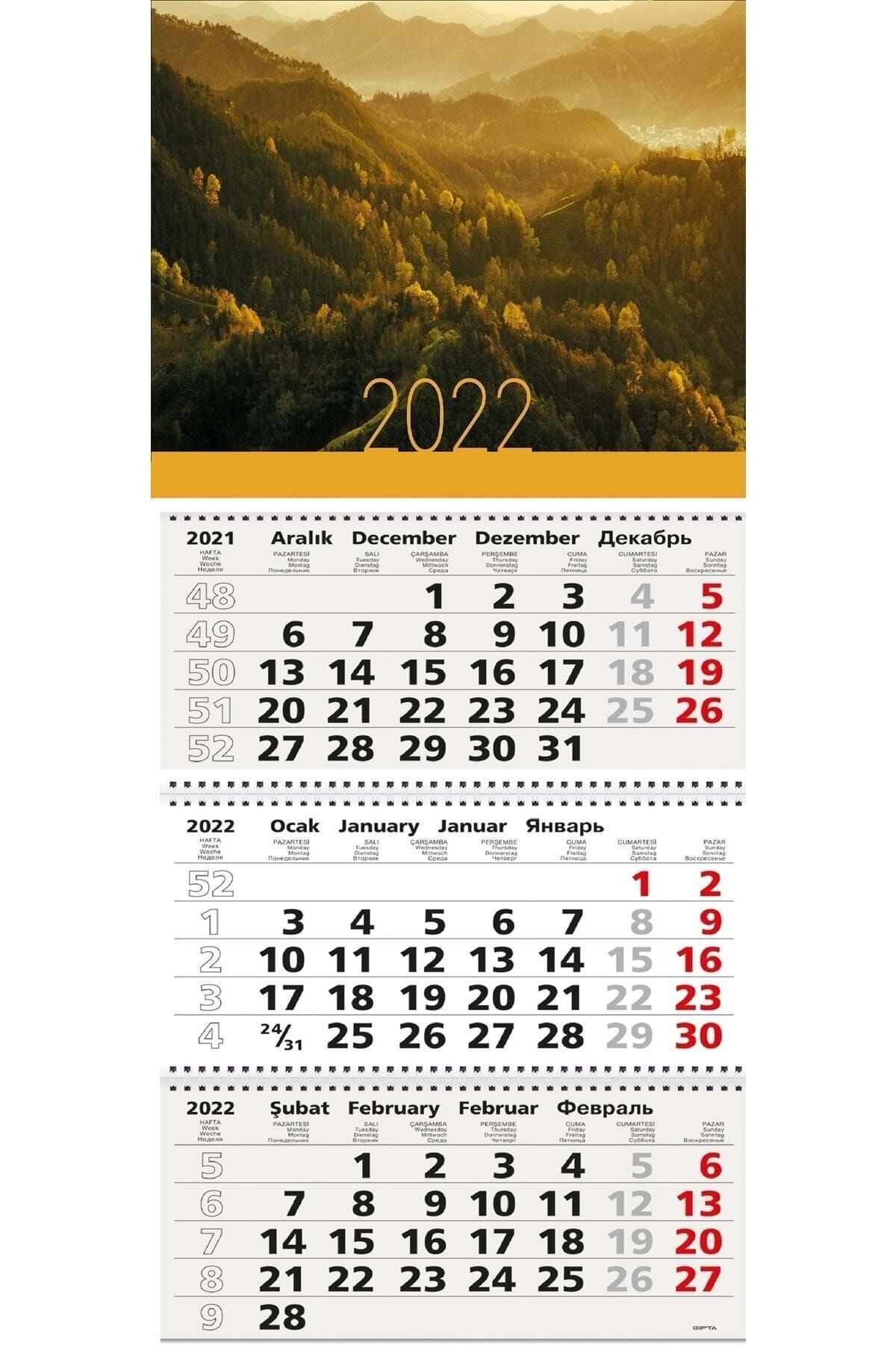 Gıpta 2022 Yılı (78x33)cm Spiralli Gemici Takvim Bristol Taşıyıcılı 805-brs