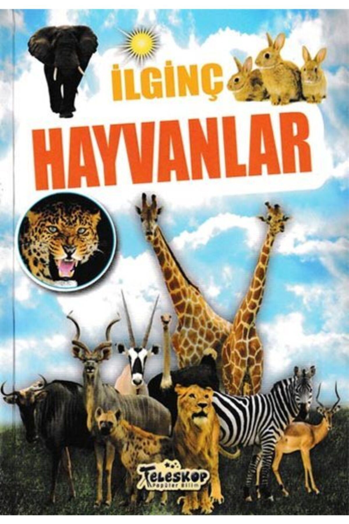 TELESKOP Ilginç Hayvanlar - Ilginç Bilgiler Serisi