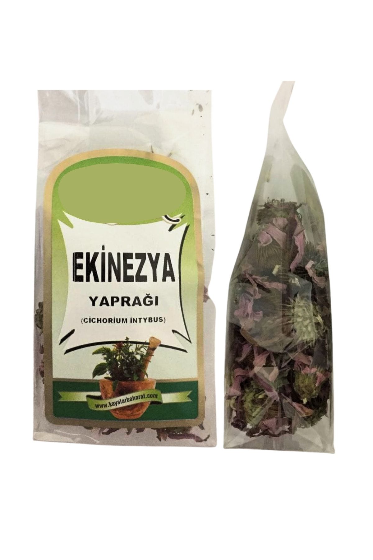 Tohum Seç Ekinezya Yaprağı 25 G. Paket - (cichorium Intybus)