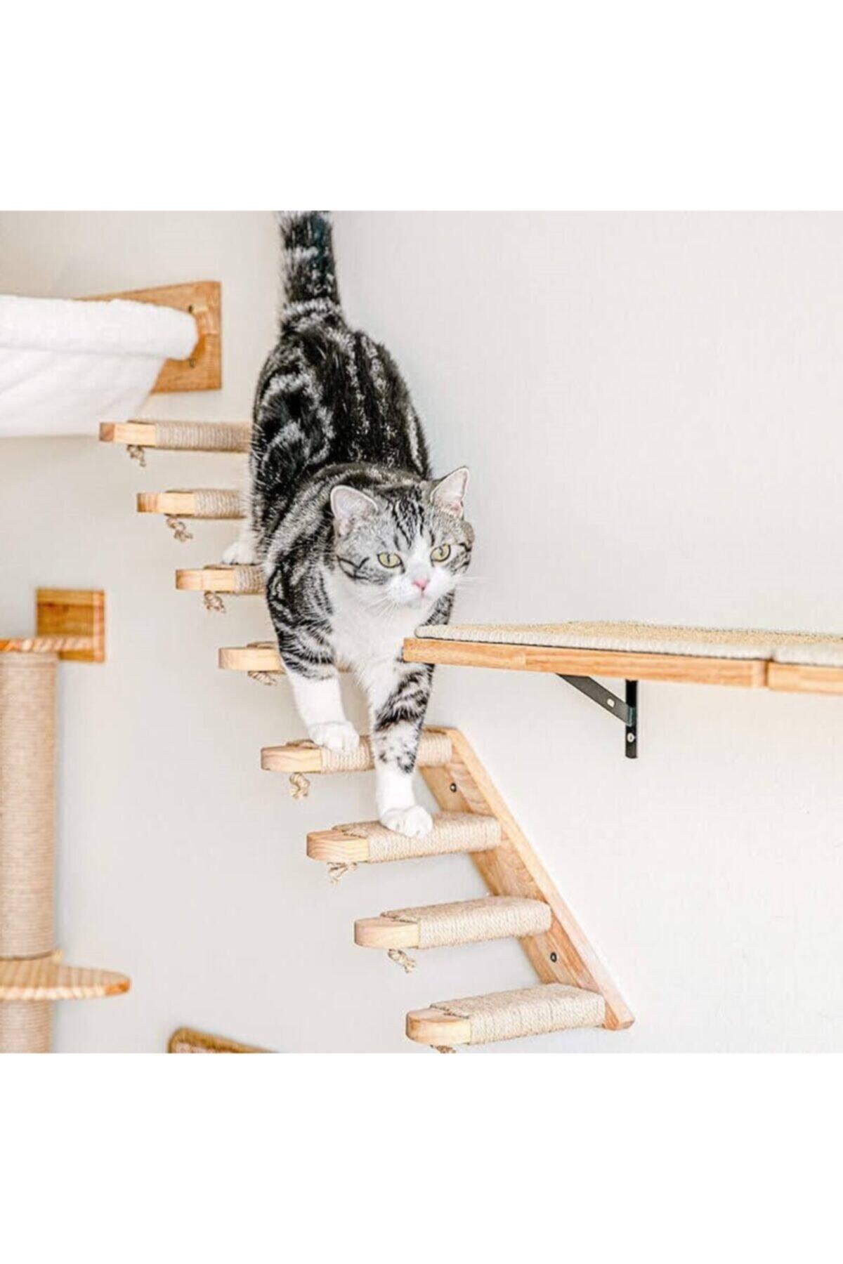 ahsen ağaç Ahşap Kedi Tırmanma Ve Kedi Tırmalama Duvarı ( Sola )