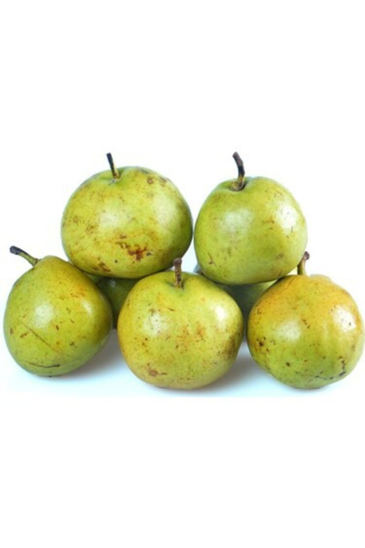 Ankara Meyve
