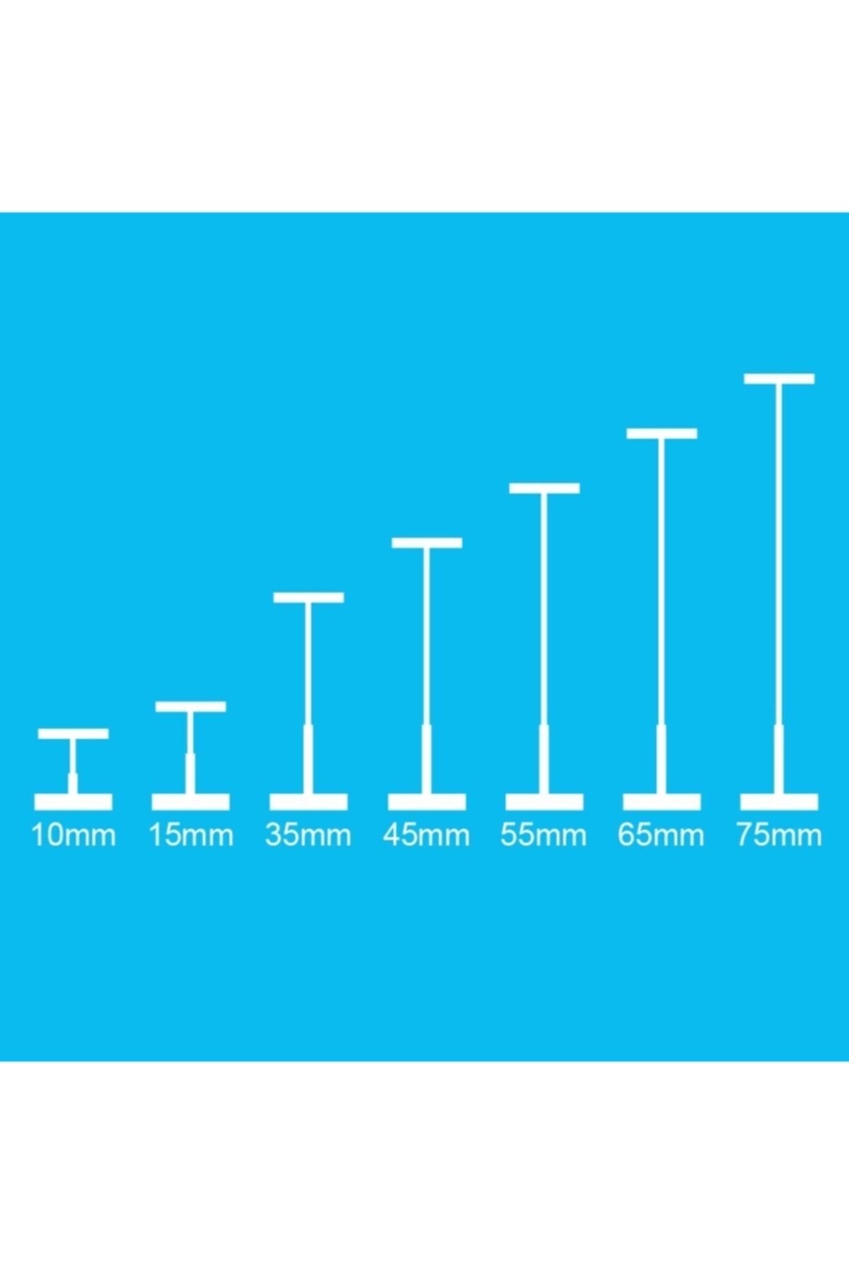 Bigpoint Kılçık Şeffaf 65 Mm 5.000'li Kutu