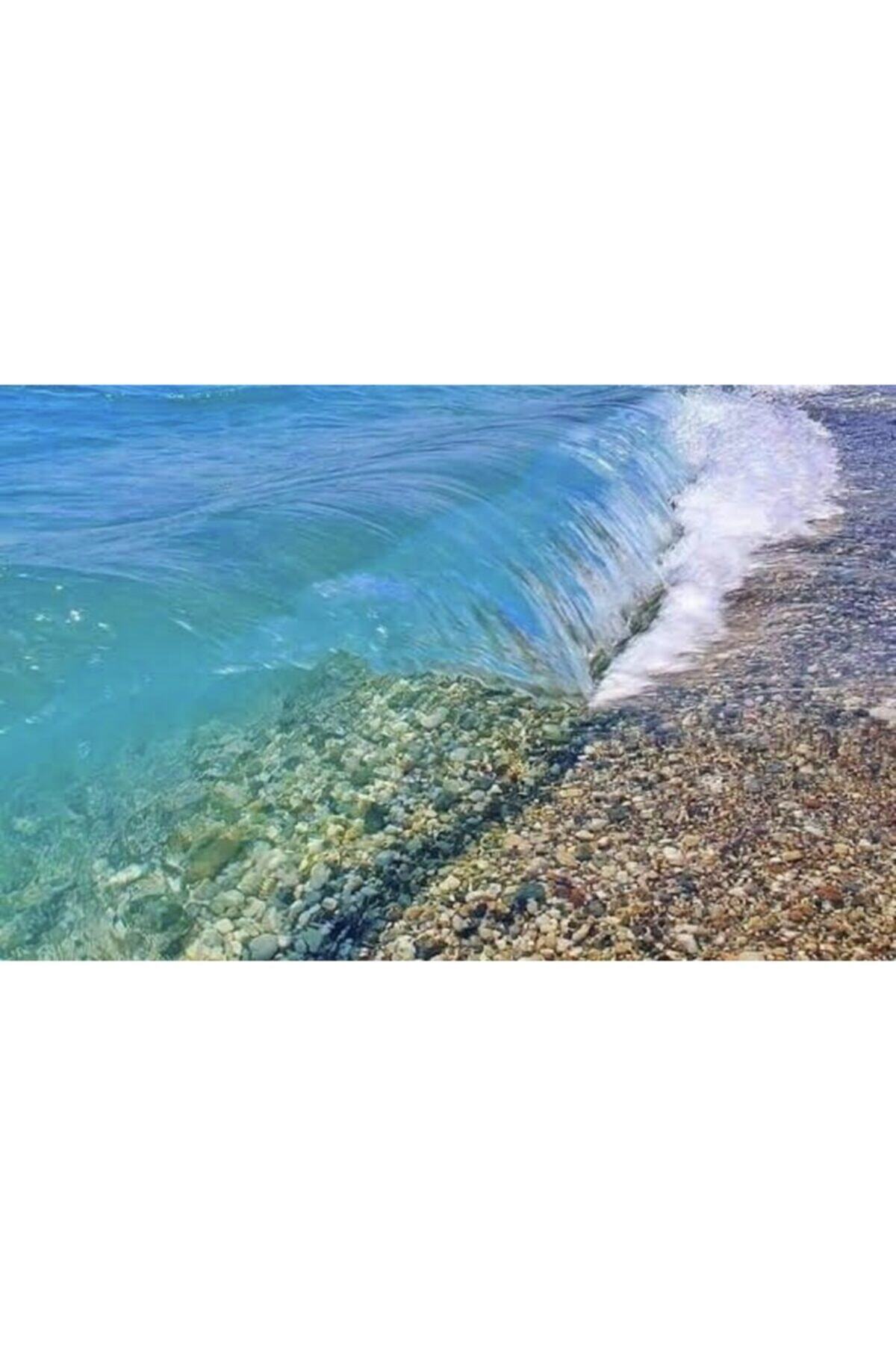 FALEZ Doğal Deniz Taşı Minik Boy