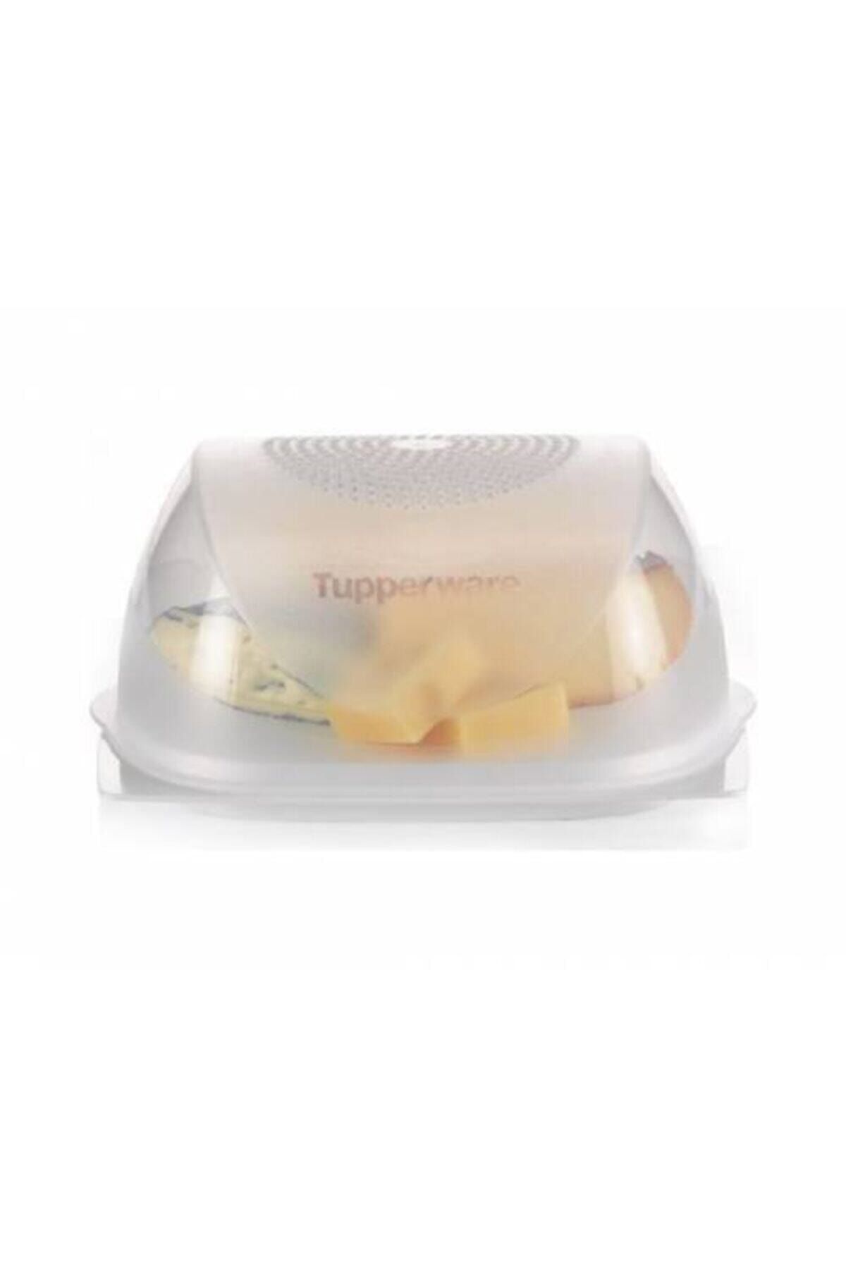 Tupperware Orta Boy Peynir Dünyası