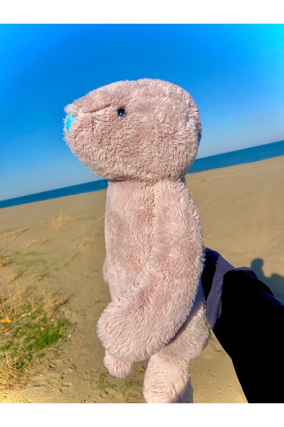 DUMMASHOP Dev Boy Peluş Tembel Hayvan Ayıcık 80 Cm