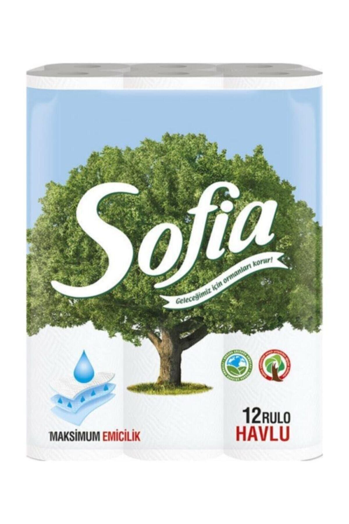 Sofia 3 Katlı Kağıt Havlu 12 Rulo