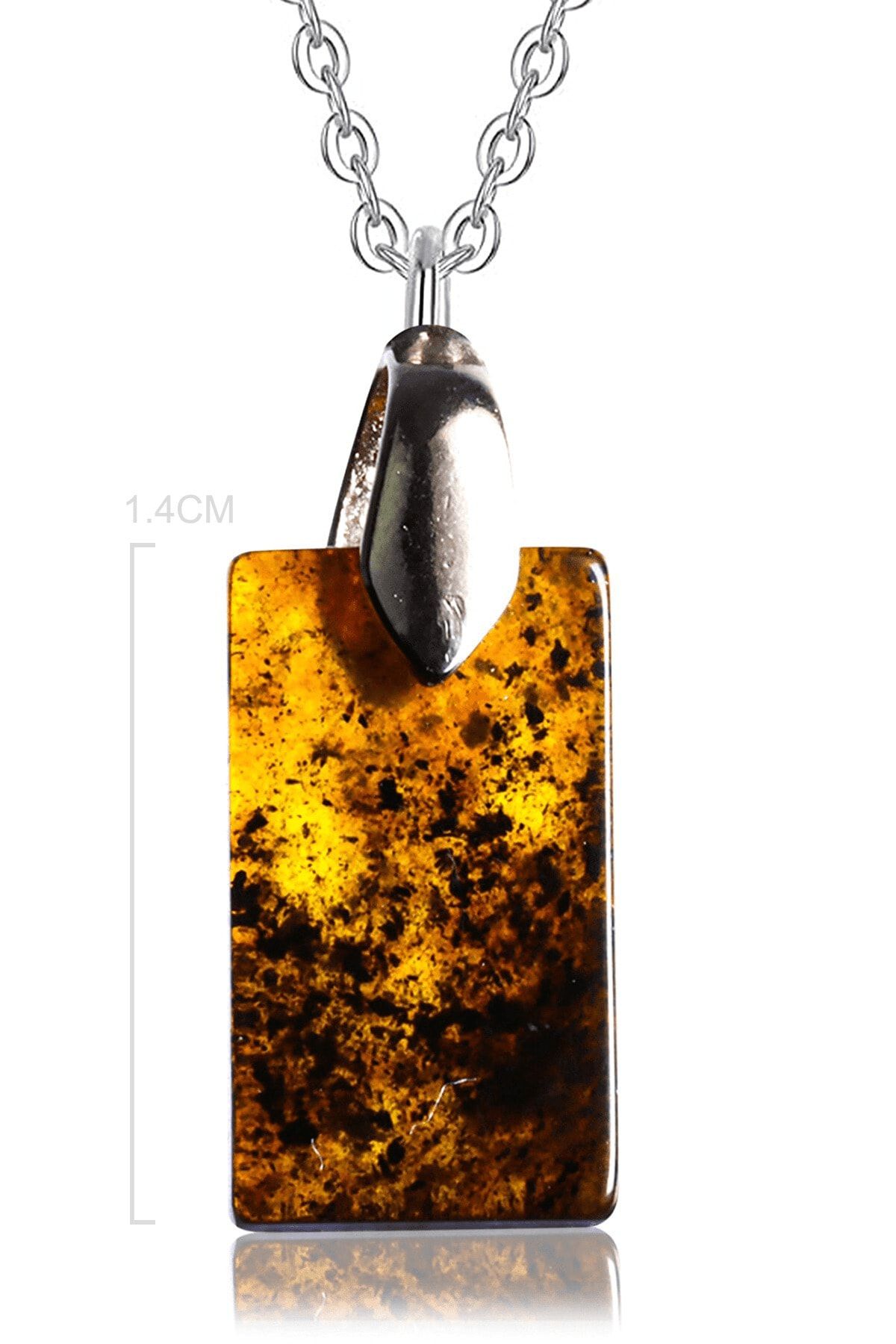 Amber on sale fossil necklace