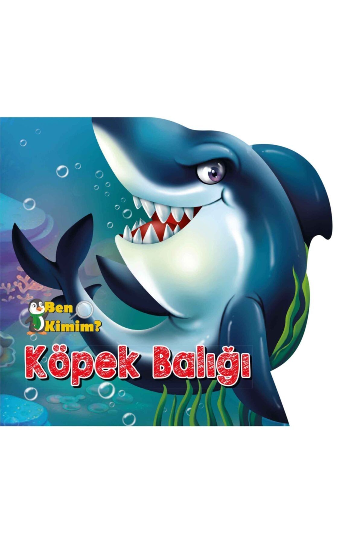 Sonsuz Kitap Yayınları Ben Kimim  - Köpek Balığı