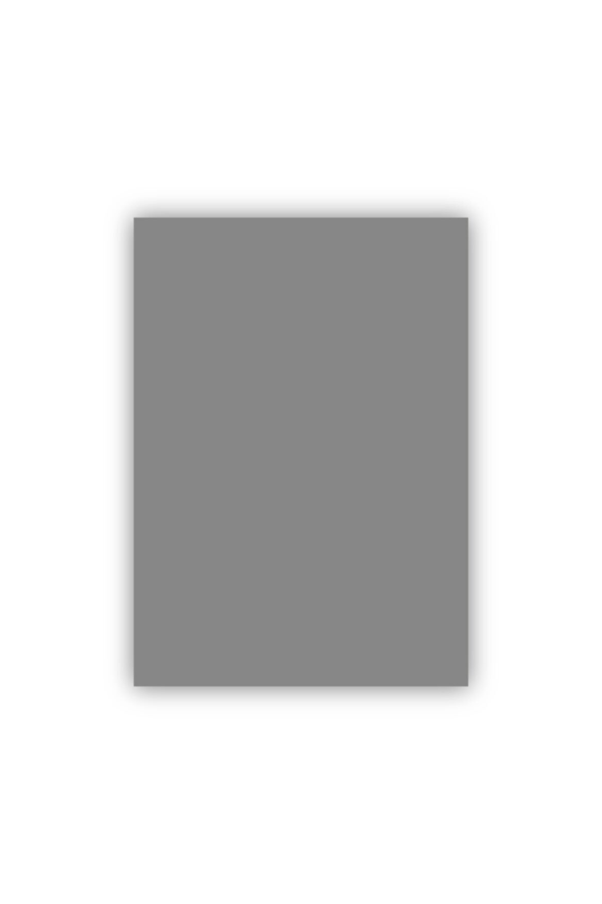 Bigpoint Fon Kartonu 50x70cm 160 Gram Gri 100'lü Paket