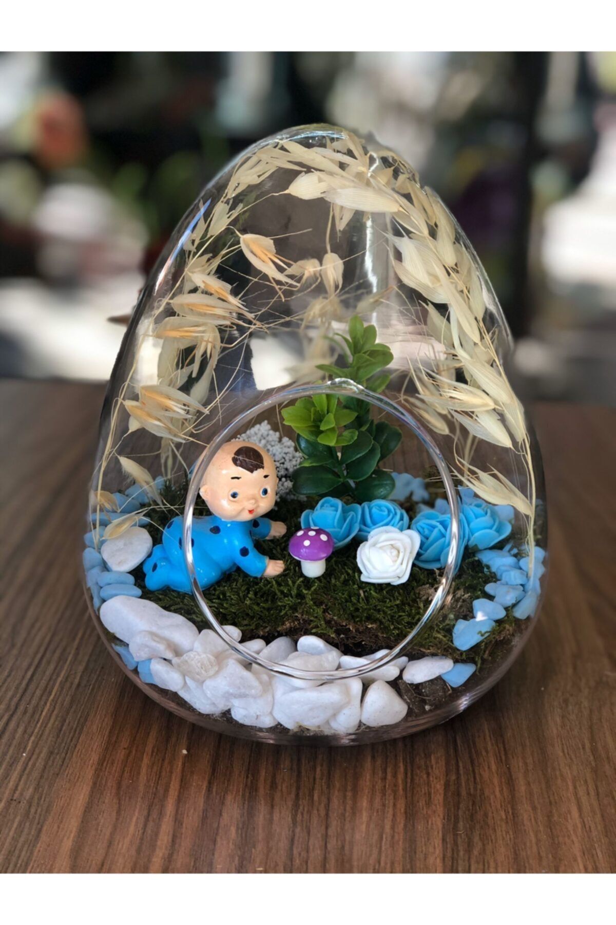 Teraryum Yumurta Hoşgeldin Bebek (erkek)