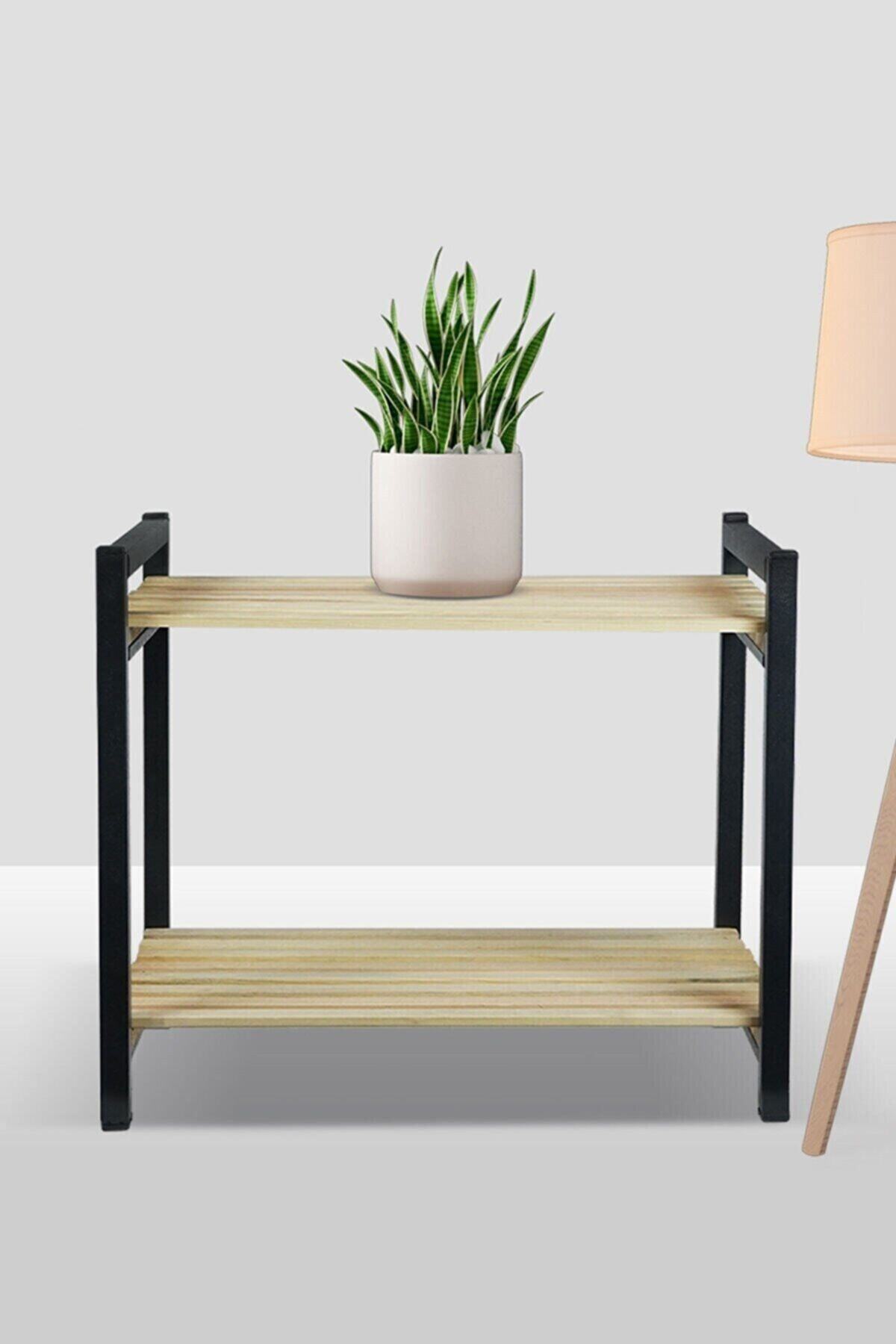 ntnrcpro Metal Ahşap Dekoratif Çok Amaçlı Raf 2 Katlı 49x29 Cm Ayakkabılık Rafı Çiçeklik Organizer